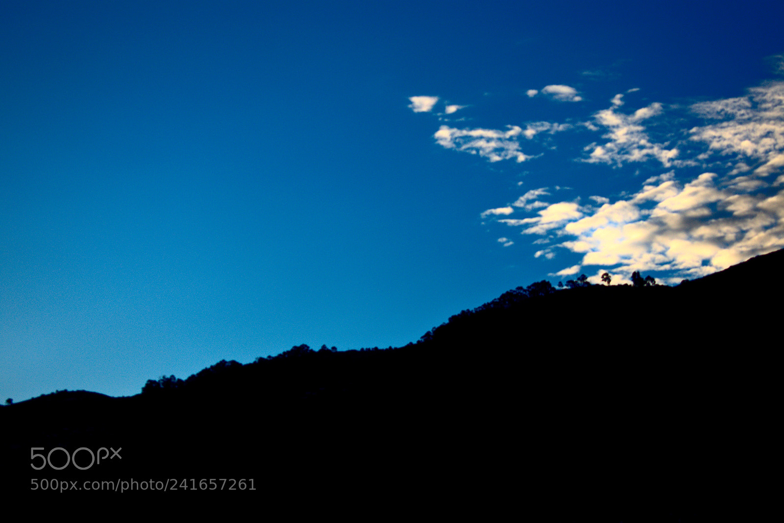 Nikon D3400 sample photo. Black'n'blue photography