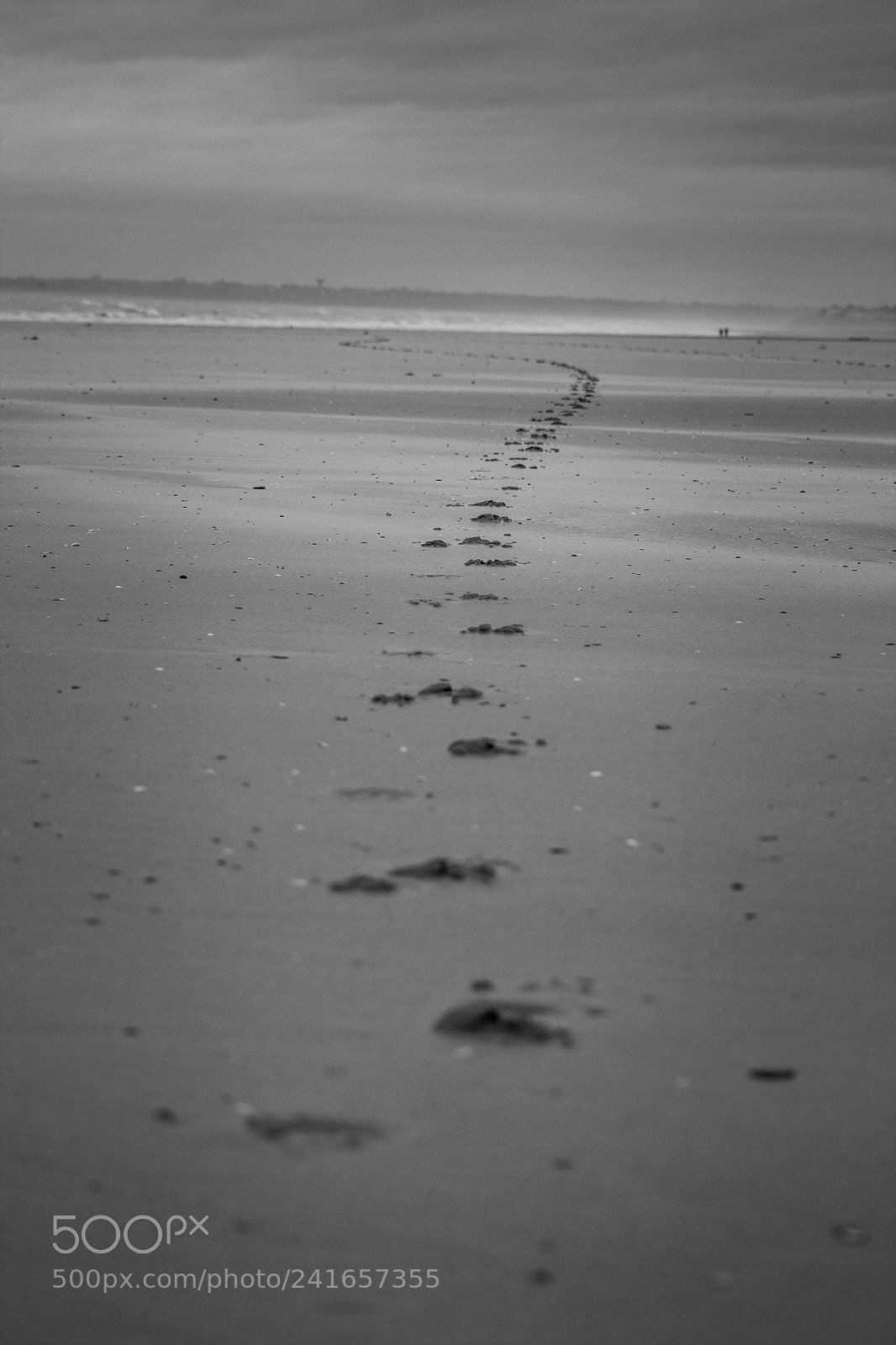 Canon EOS 60D sample photo. Trace sur plage photography