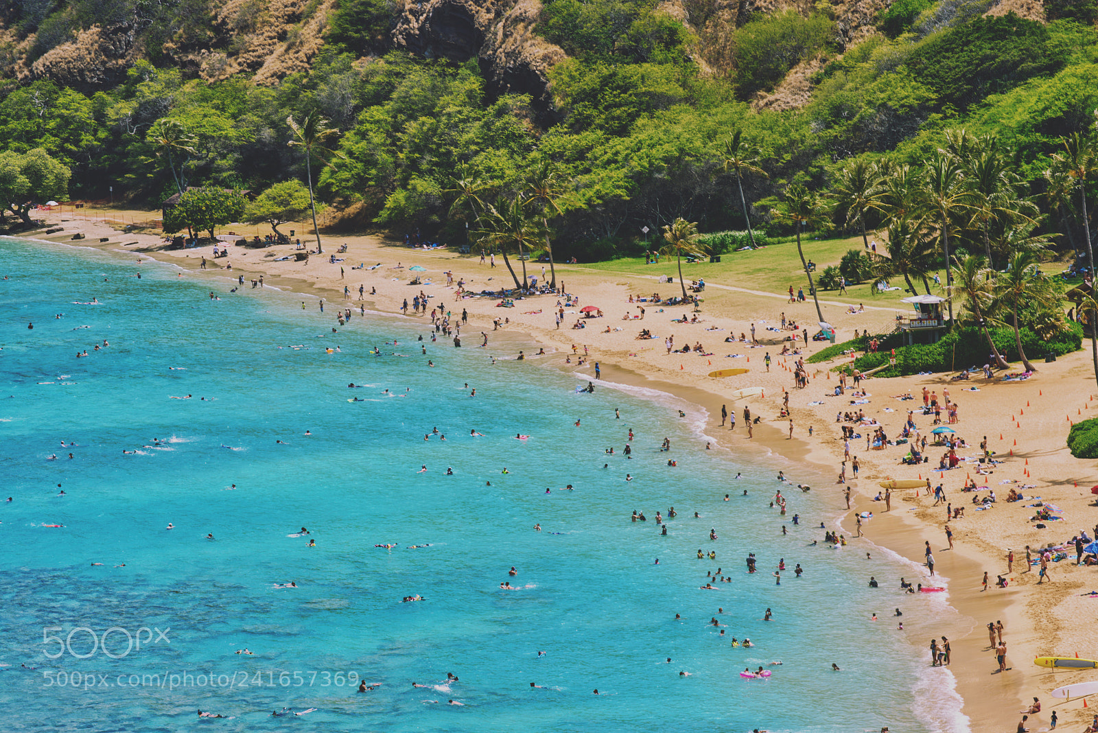 Nikon D800 sample photo. Hawaii photography