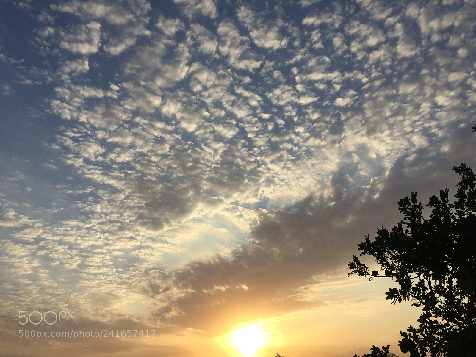 Apple iPhone 6 Plus sample photo. Sunset photography