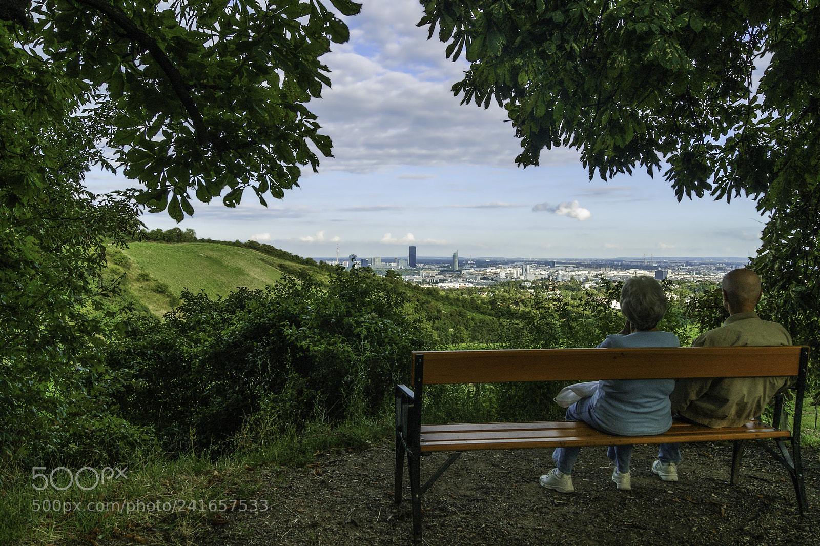 Sony Alpha DSLR-A290 sample photo. View of the city photography