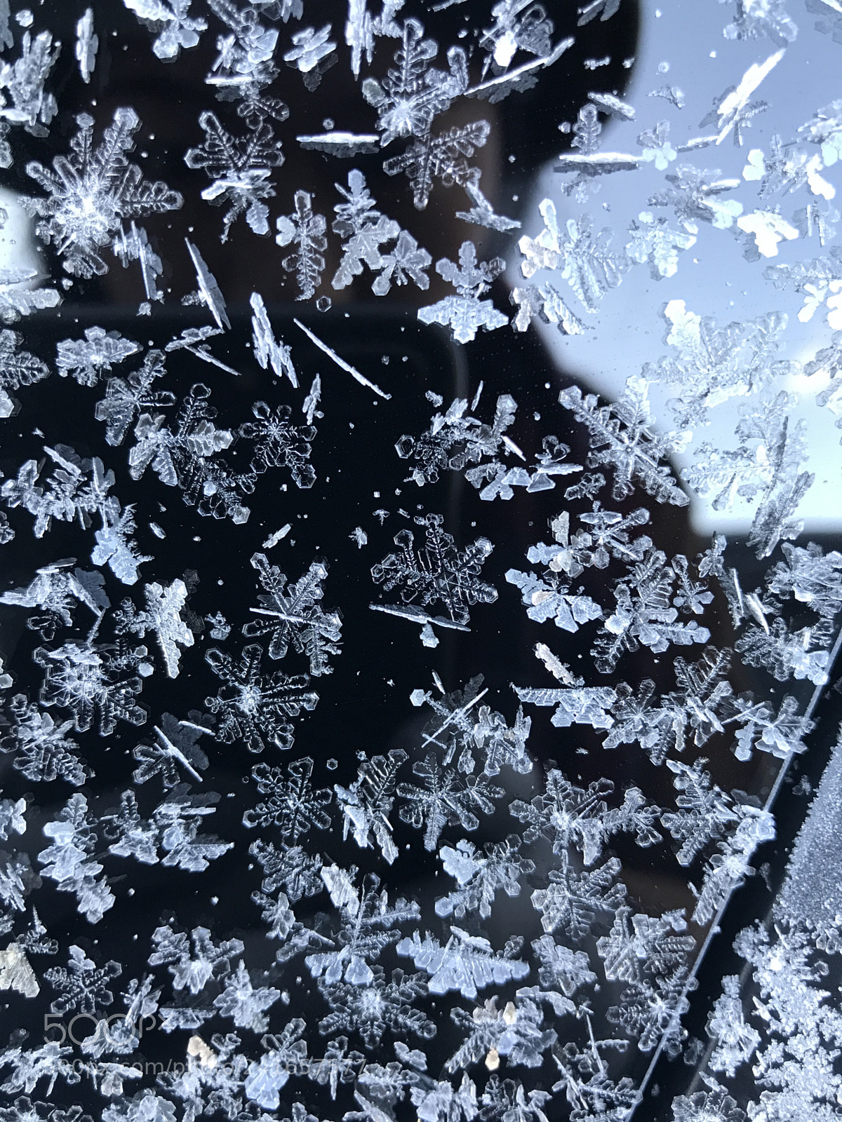Apple iPhone 7 Plus sample photo. Snow falls on my photography