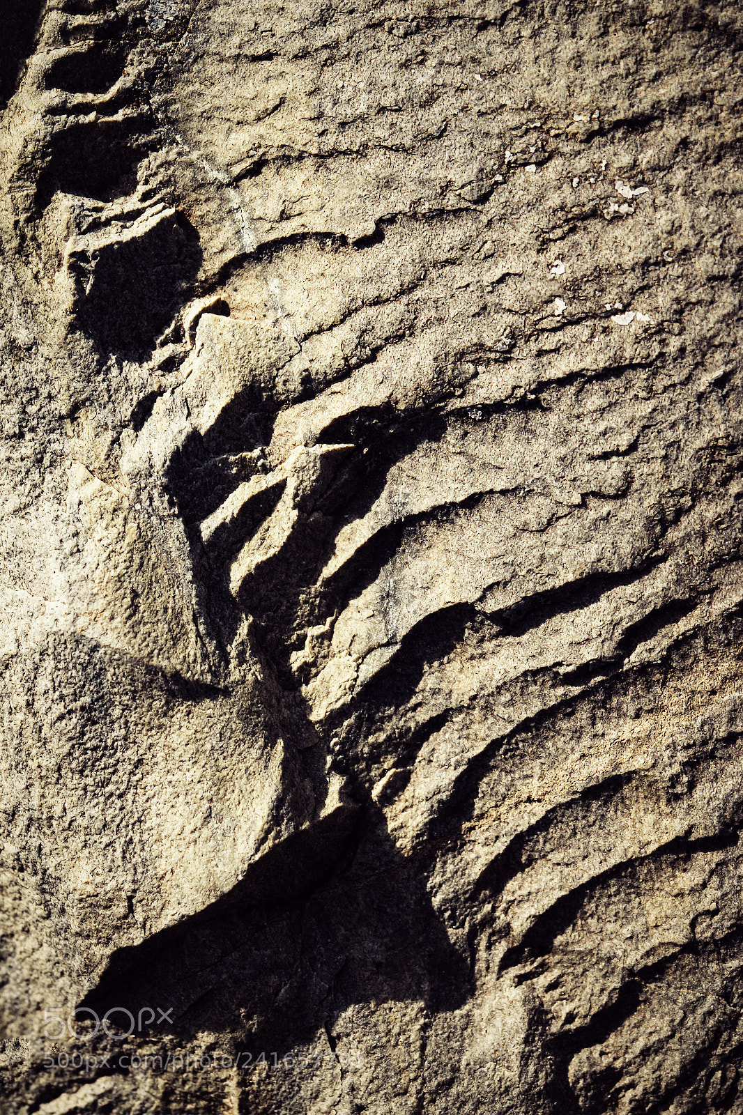 Nikon D5500 sample photo. Shadows on the old photography