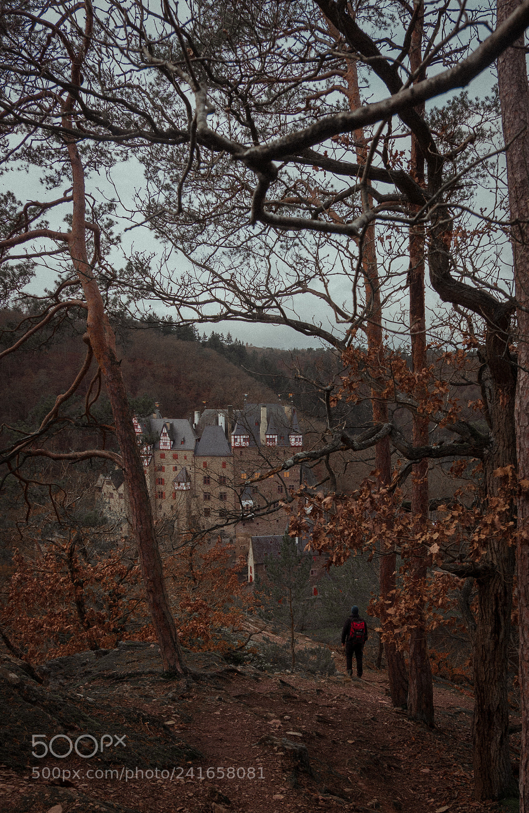 Fujifilm X-A2 sample photo. Burg eltz photography