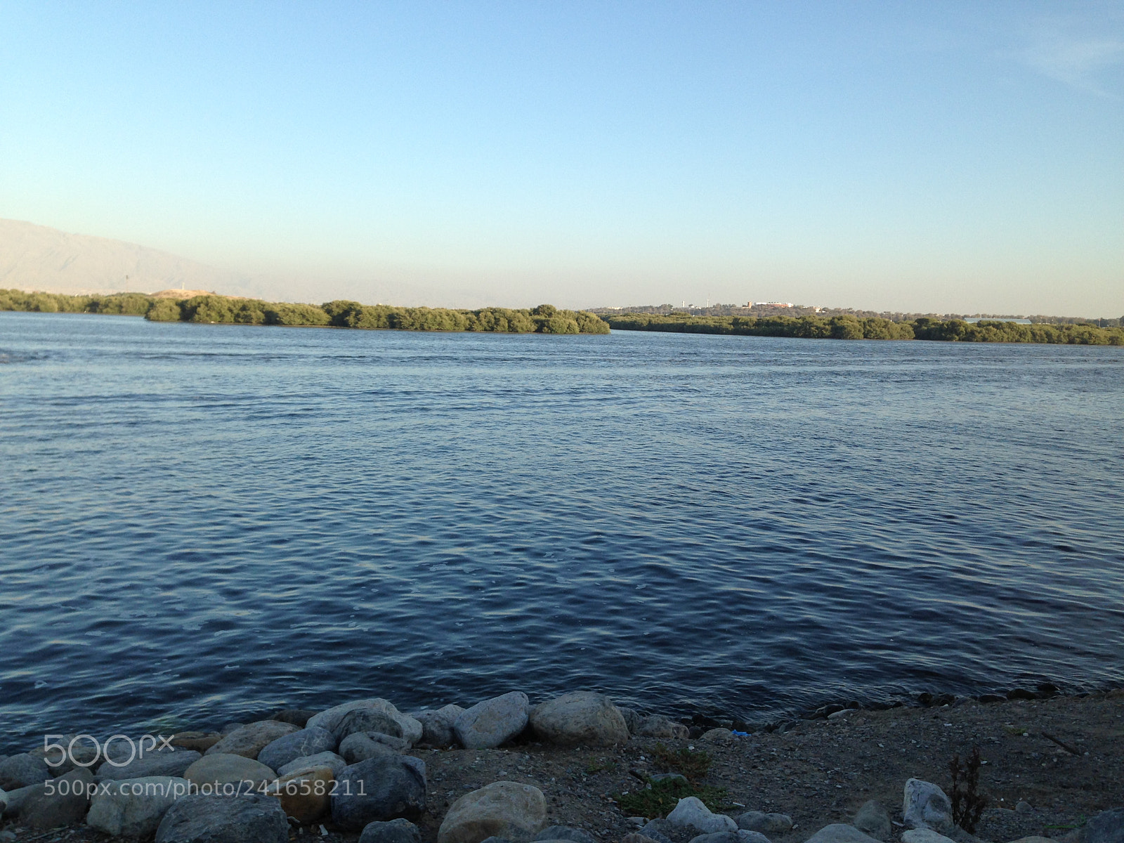 Apple iPhone 5 sample photo. Mangrove photography