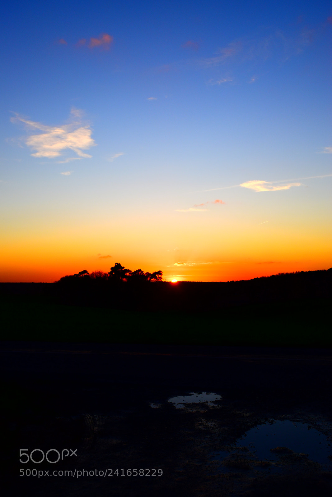 Nikon D5600 sample photo. Untitled photography