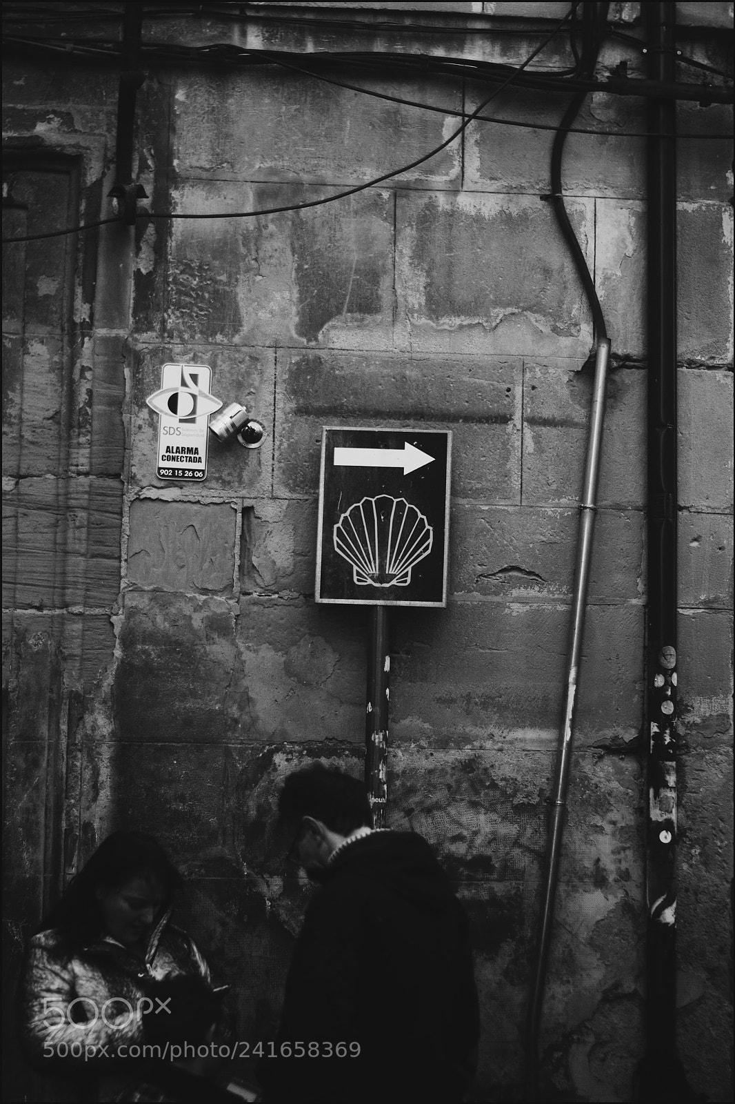 Canon EOS 1000D (EOS Digital Rebel XS / EOS Kiss F) sample photo. El camino de santiago photography
