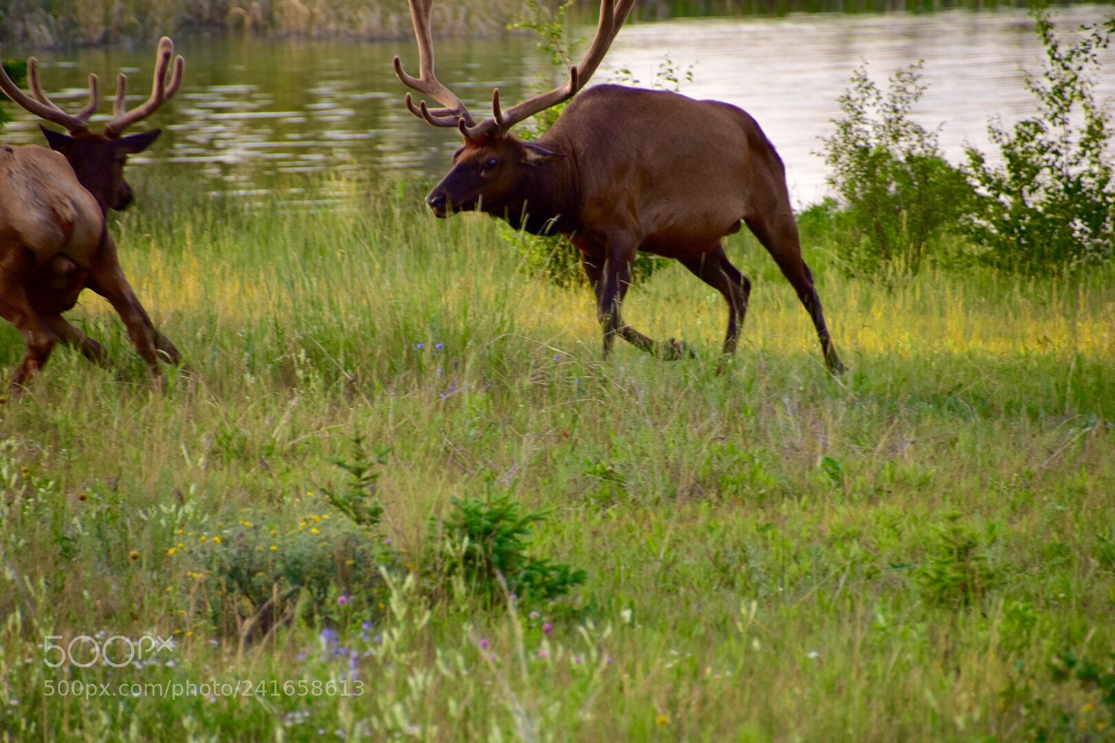 Nikon D7200 sample photo. Untitled photography