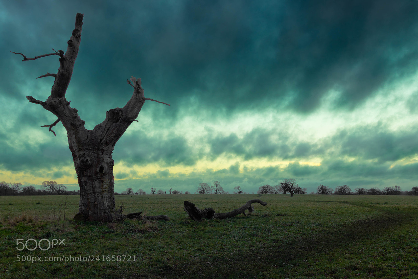 Canon EOS 77D (EOS 9000D / EOS 770D) sample photo. Winter sunrise over windsor photography