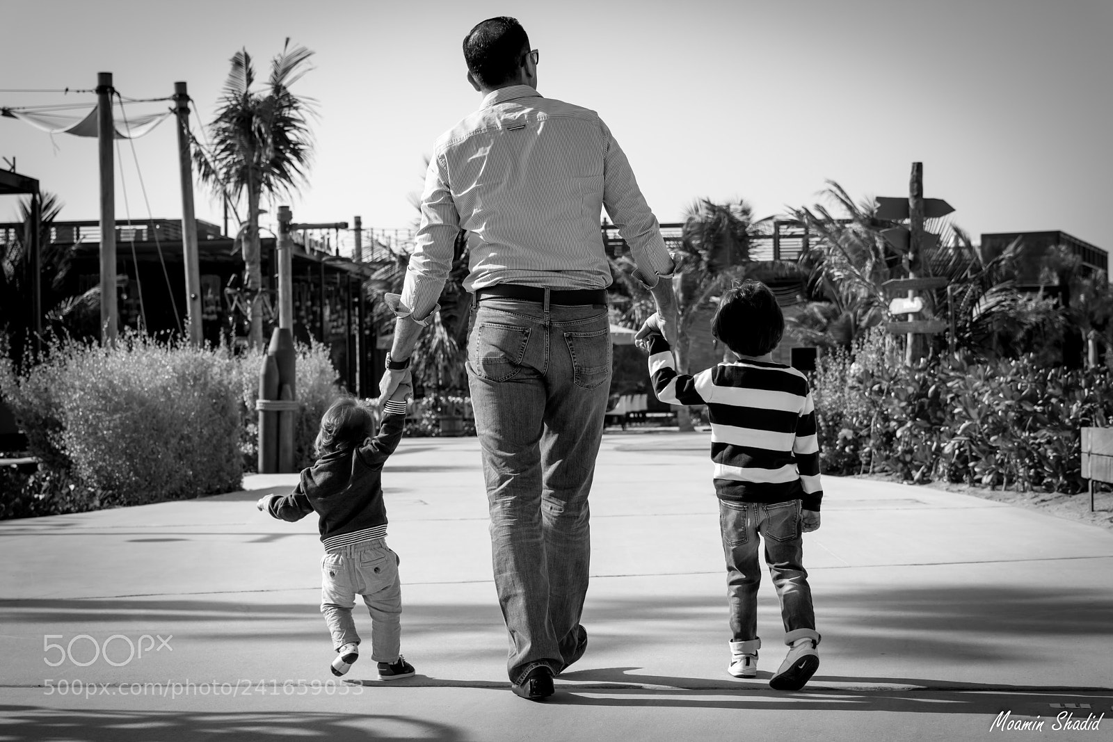 Nikon D7200 sample photo. Untitled photography