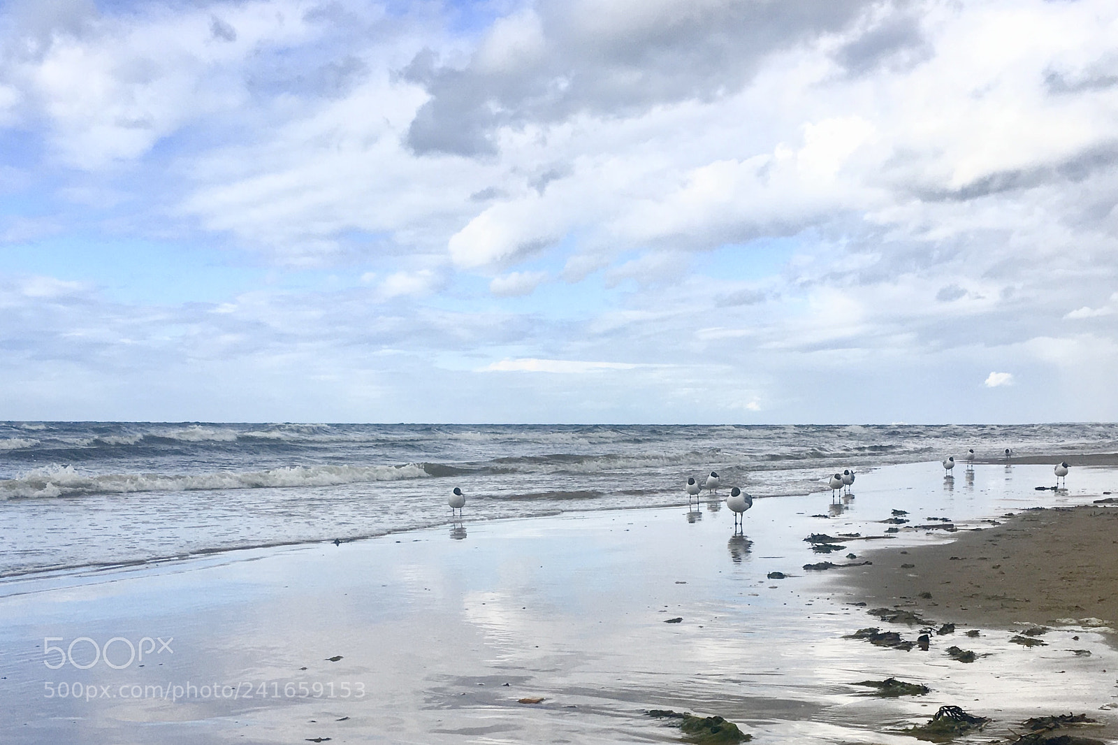 Apple iPhone 6s sample photo. Cold summer in jurmala photography