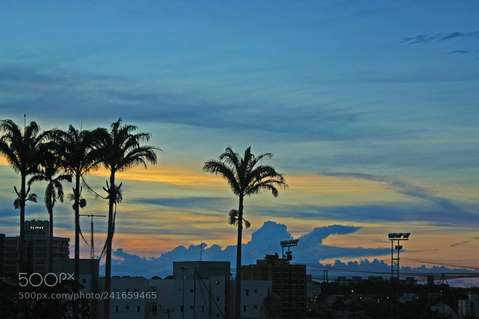 Canon EOS 40D sample photo. Yellow & blue photography