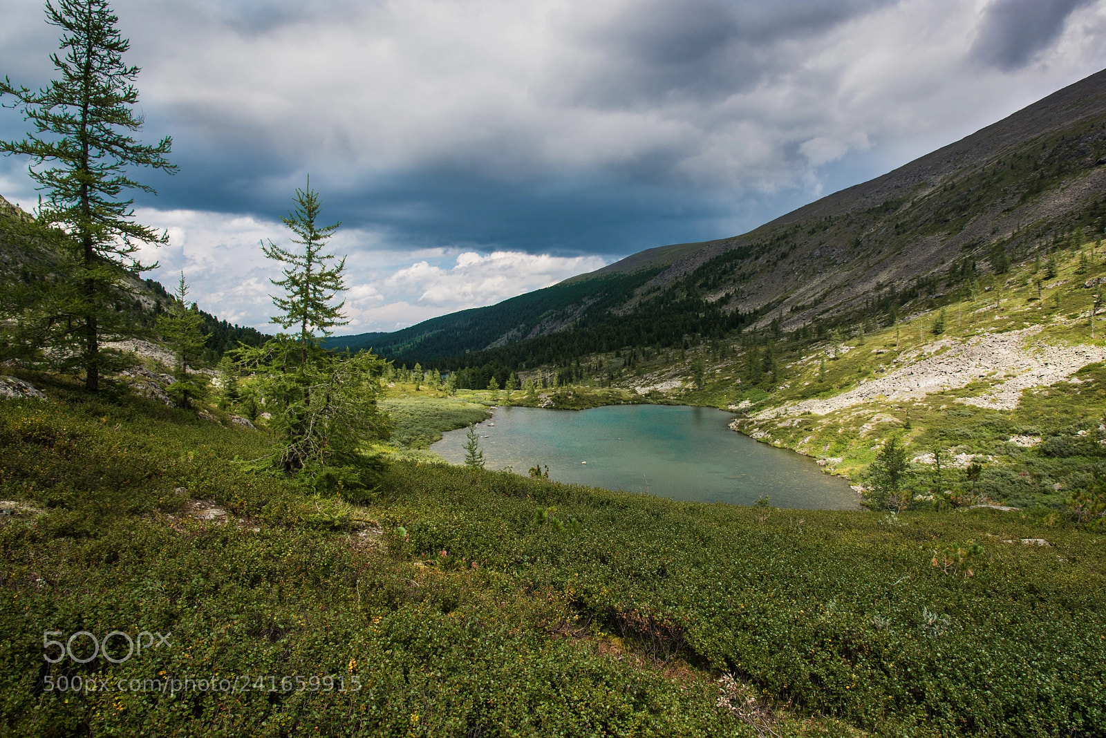 Nikon D750 sample photo. Altai lakes photography