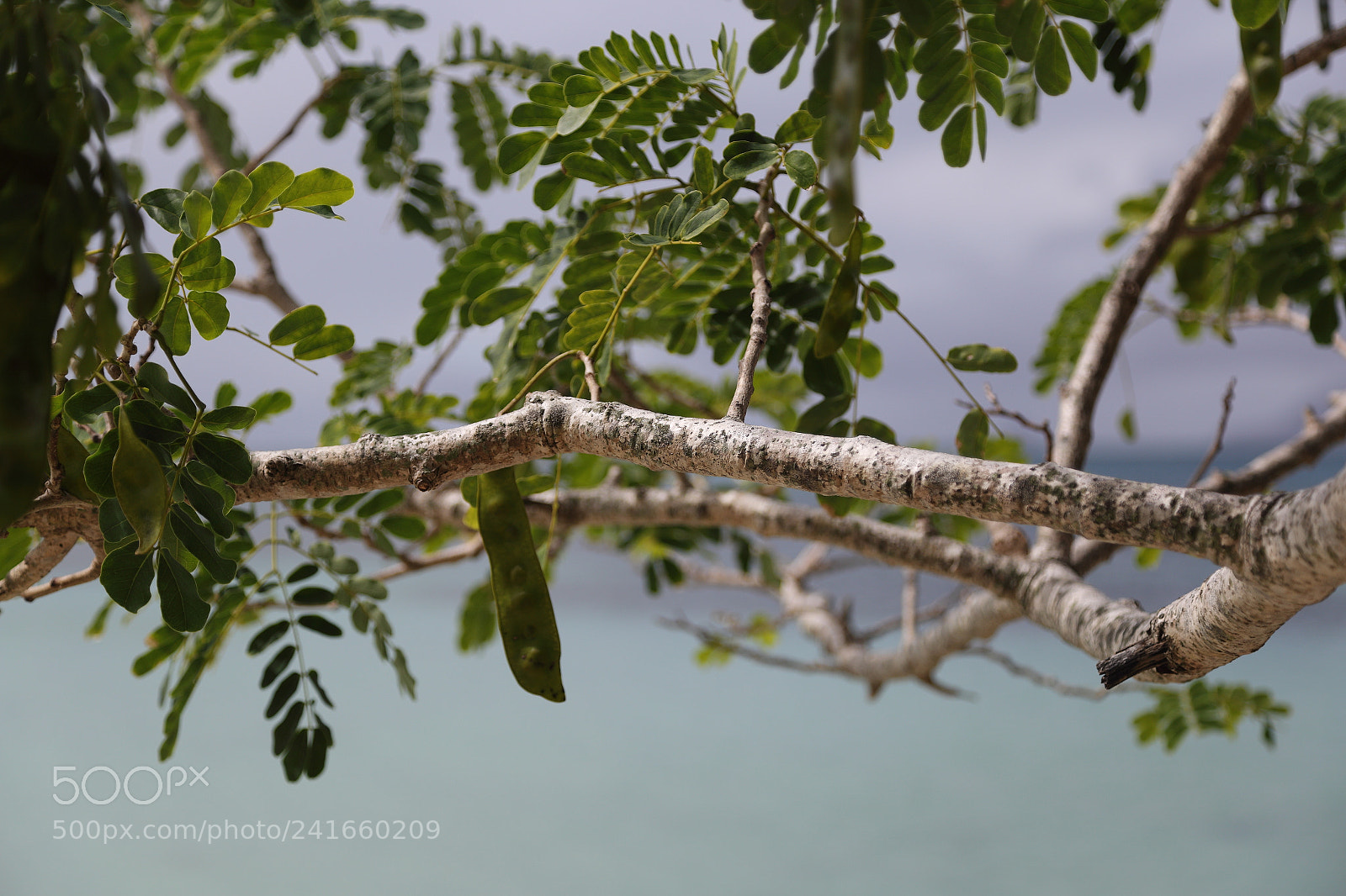 Canon EOS 6D + Canon EF 24-105mm F4L IS USM sample photo. Natural contrast photography
