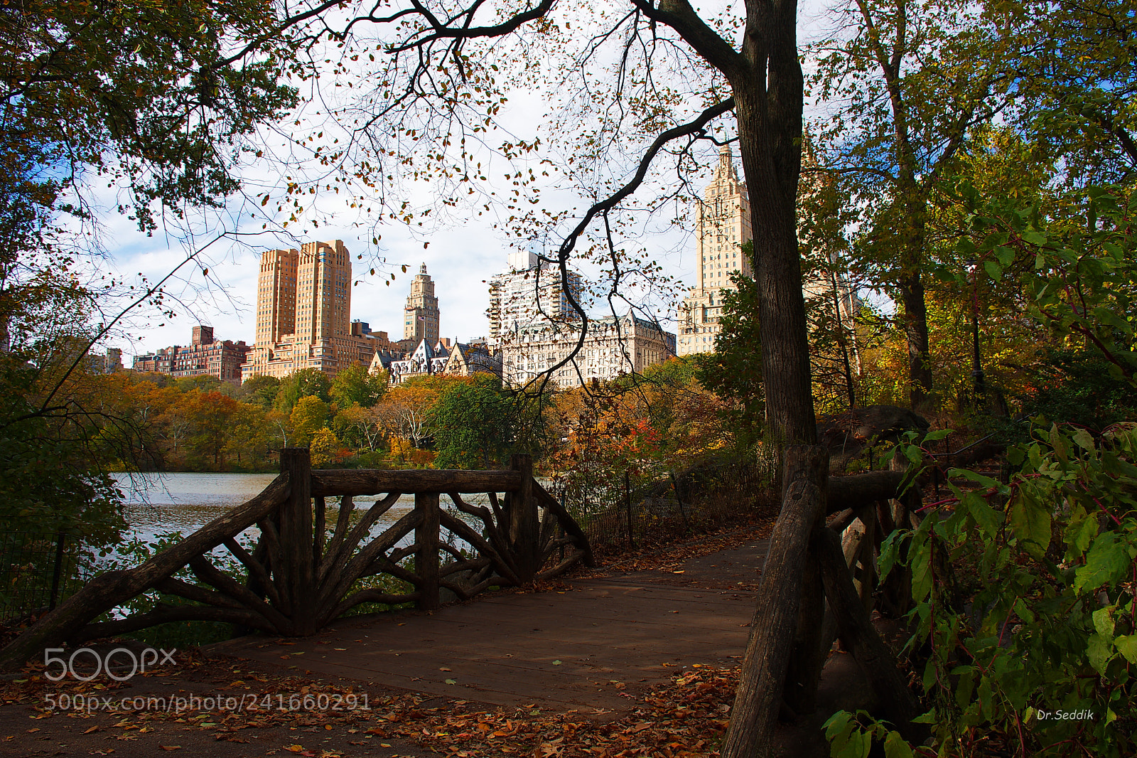 Nikon D7200 sample photo. Central park , nyc photography