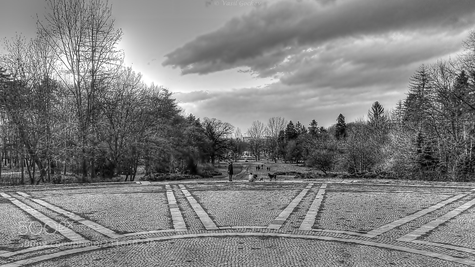 HUAWEI Y6II sample photo. B&w parc photography
