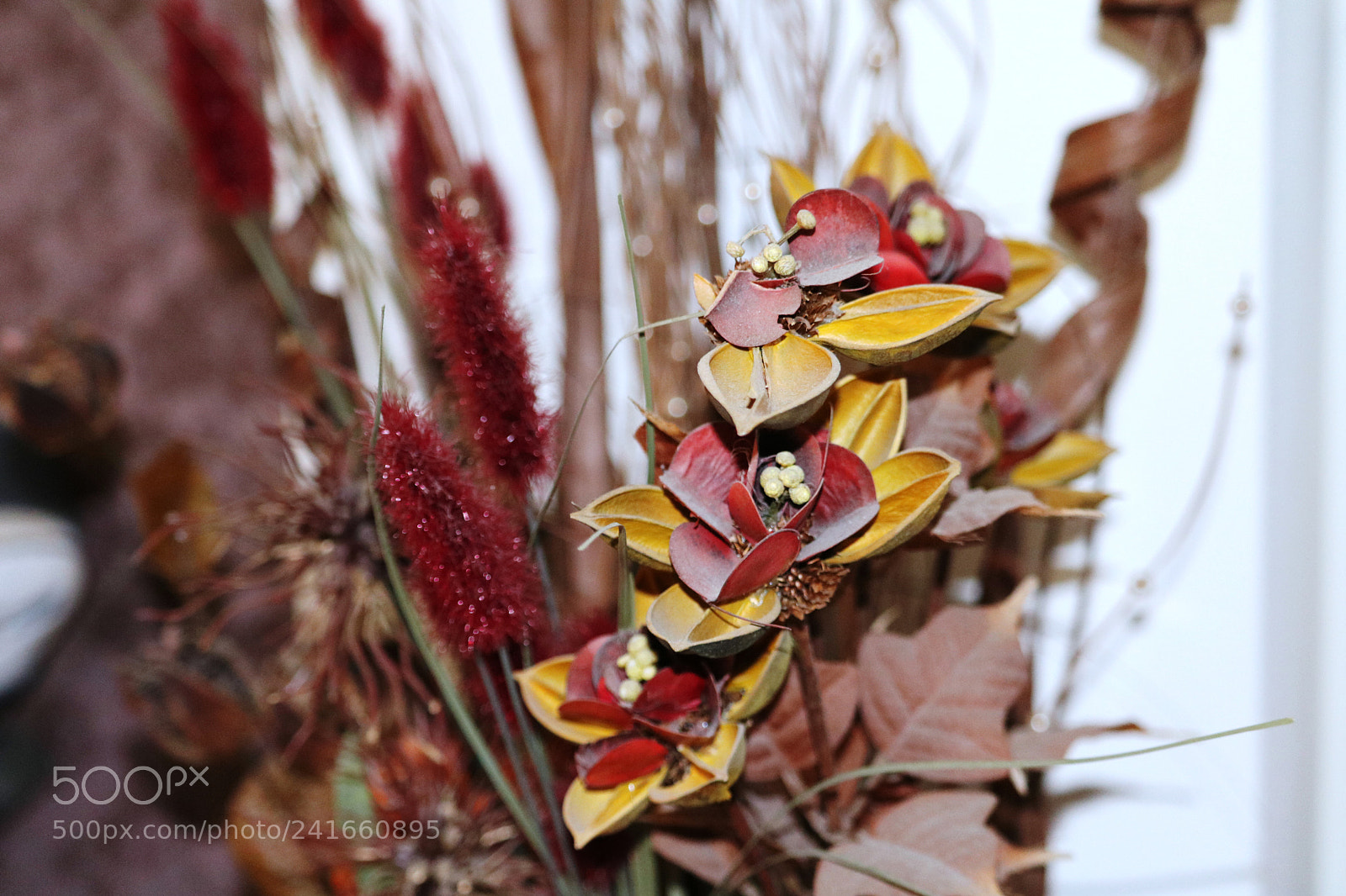 Canon EOS 750D (EOS Rebel T6i / EOS Kiss X8i) sample photo. Img photography