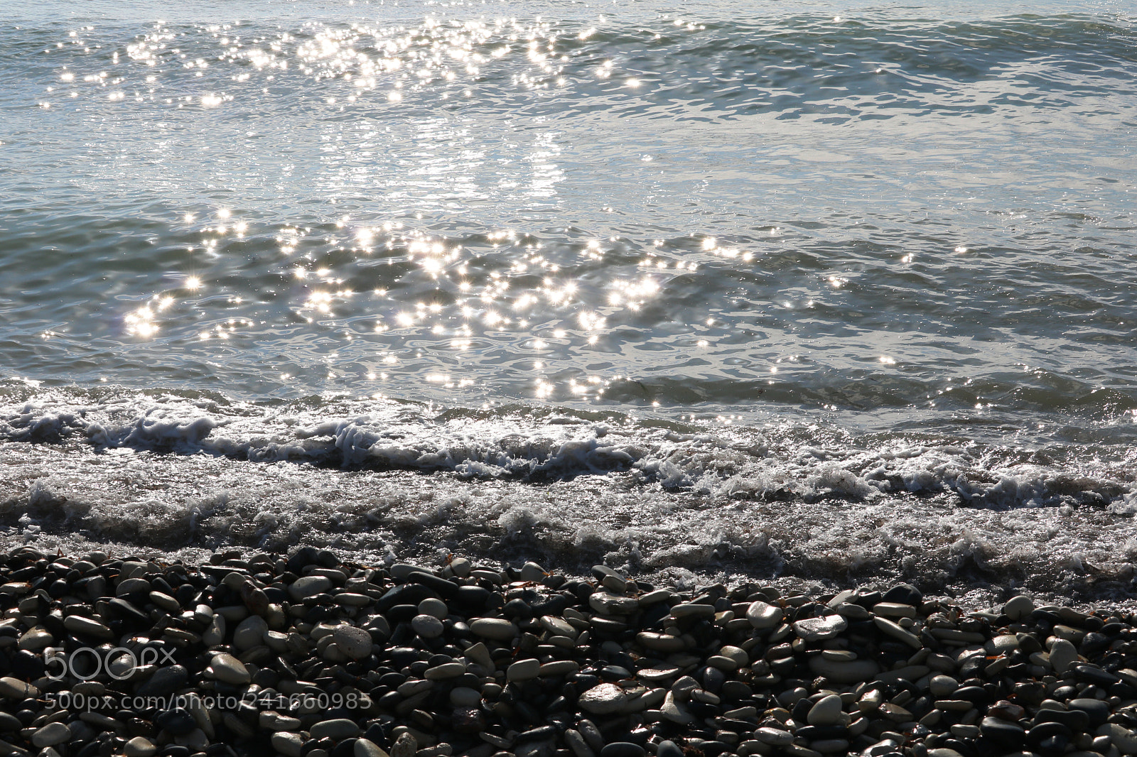 Canon EOS 750D (EOS Rebel T6i / EOS Kiss X8i) sample photo. Img photography