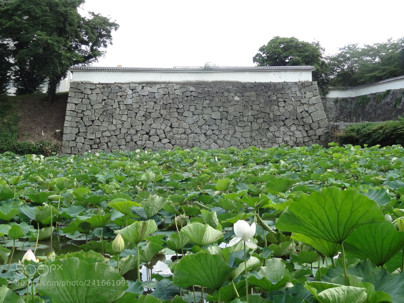 Sony Cyber-shot DSC-HX9V sample photo. Dsc photography
