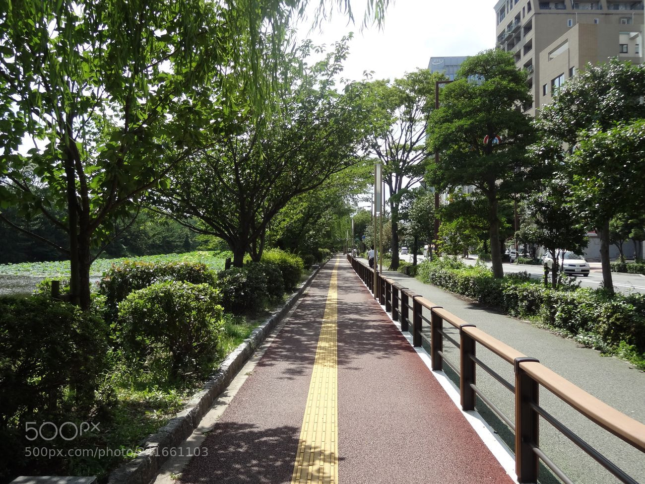 Sony Cyber-shot DSC-HX9V sample photo. Dsc photography
