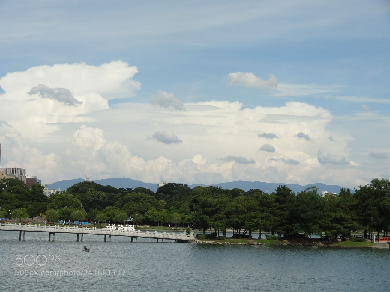 Sony Cyber-shot DSC-HX9V sample photo. Dsc photography