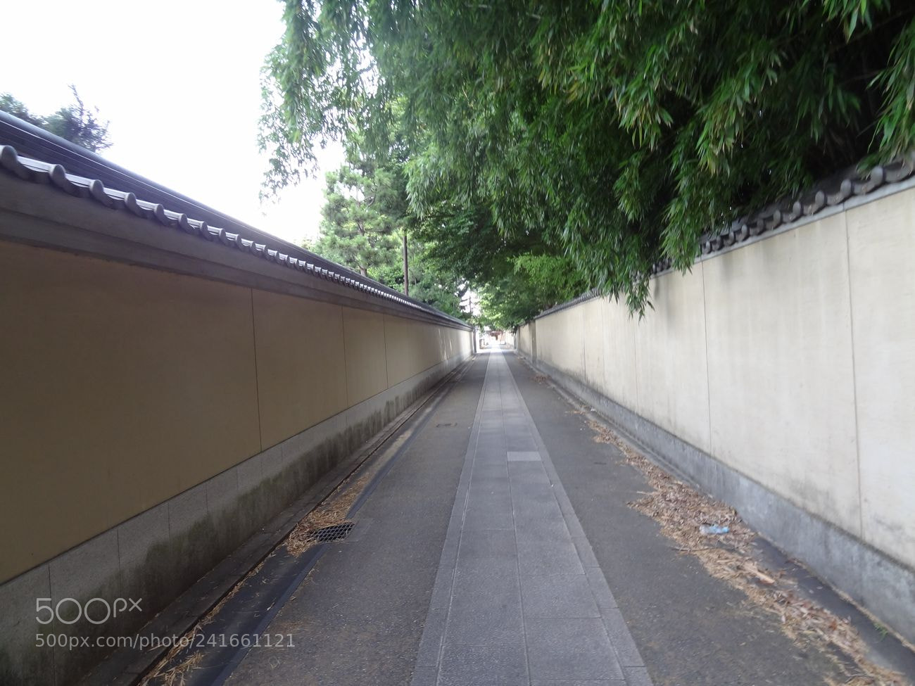 Sony Cyber-shot DSC-HX9V sample photo. Dsc photography