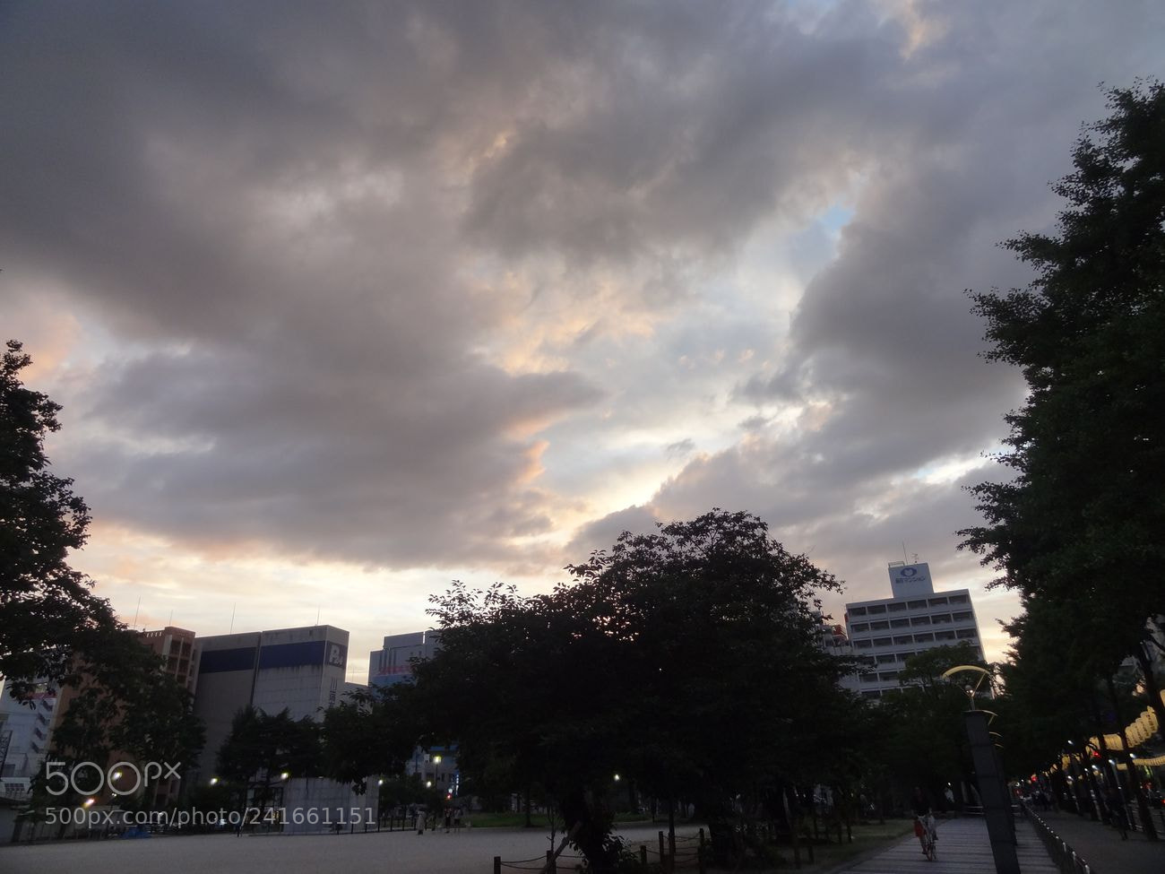 Sony Cyber-shot DSC-HX9V sample photo. Dsc photography
