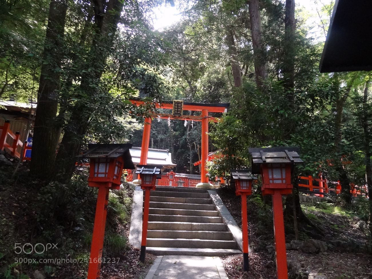 Sony Cyber-shot DSC-HX9V sample photo. Dsc photography
