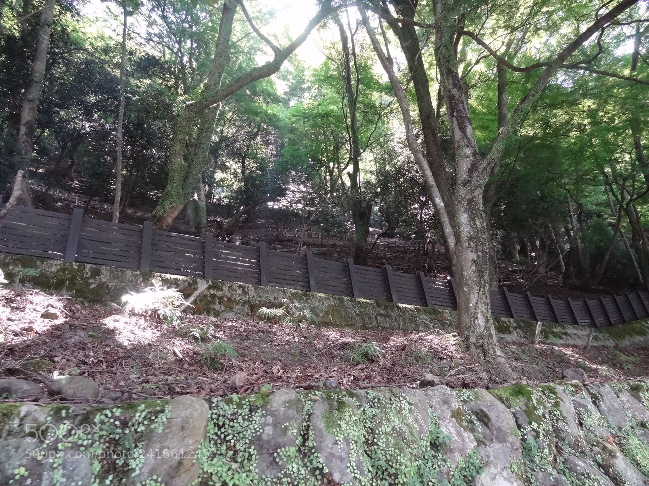 Sony Cyber-shot DSC-HX9V sample photo. Dsc photography