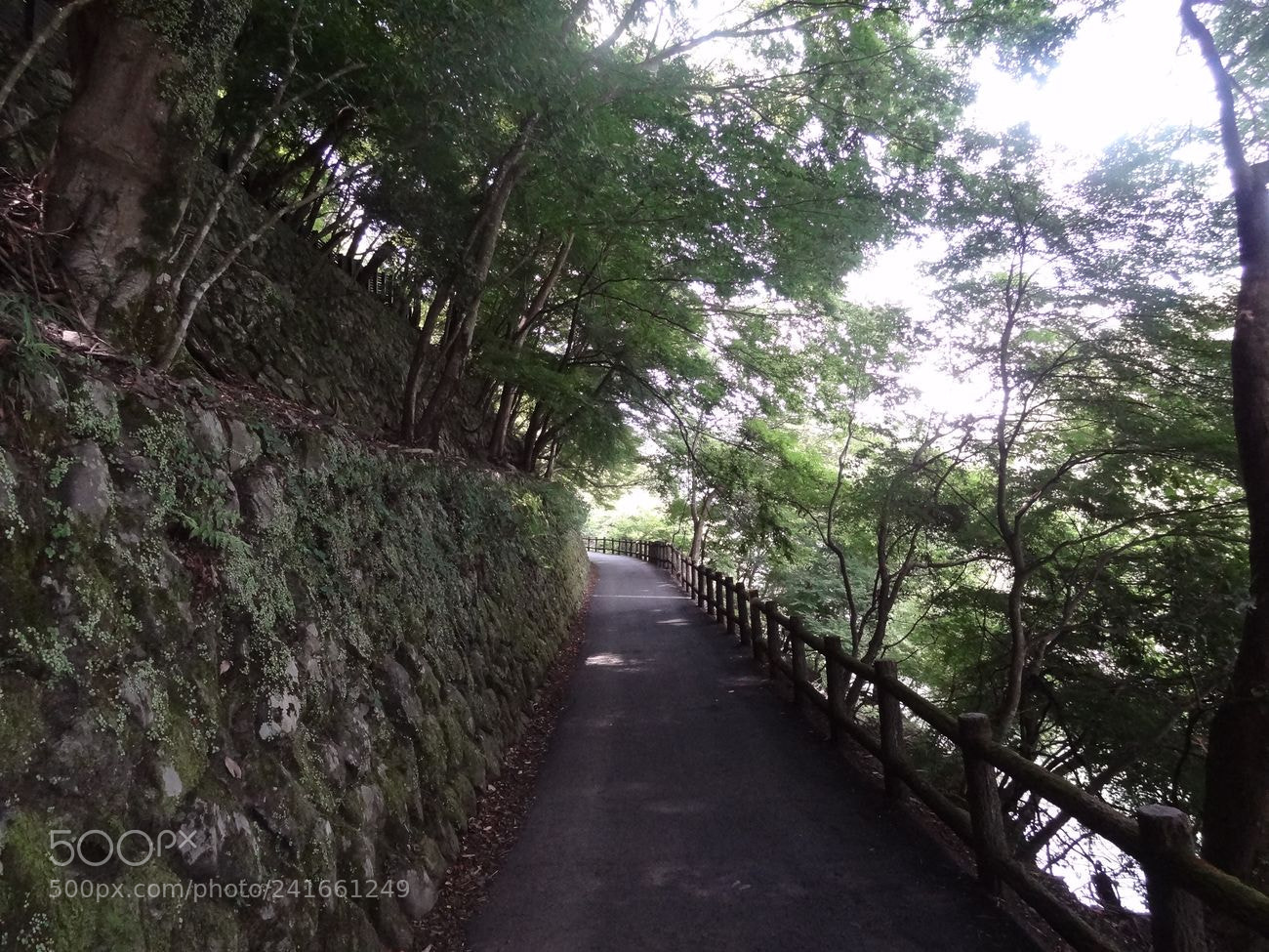 Sony Cyber-shot DSC-HX9V sample photo. Dsc photography