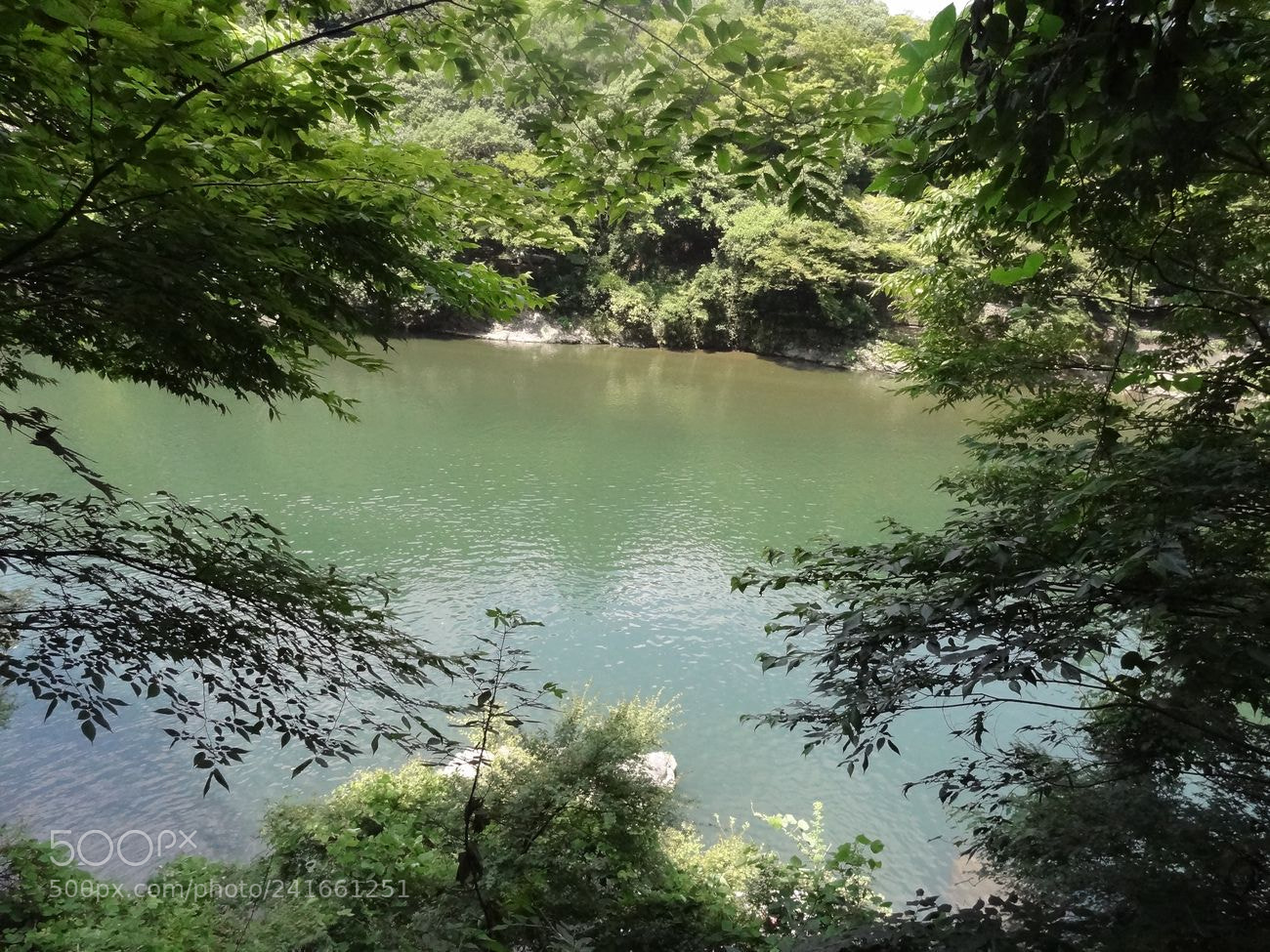 Sony Cyber-shot DSC-HX9V sample photo. Dsc photography
