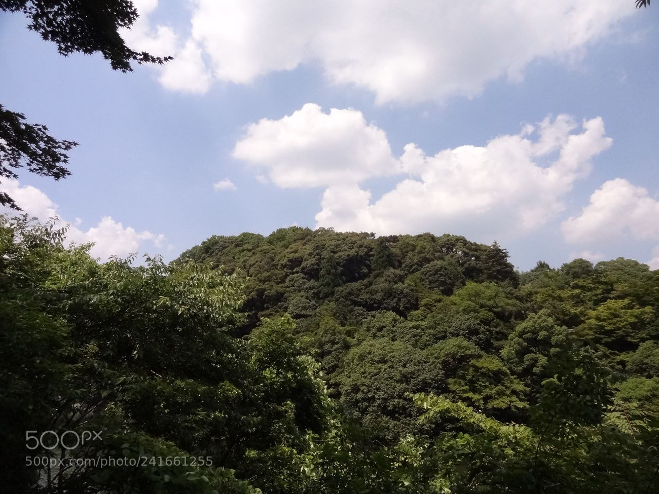 Sony Cyber-shot DSC-HX9V sample photo. Dsc photography