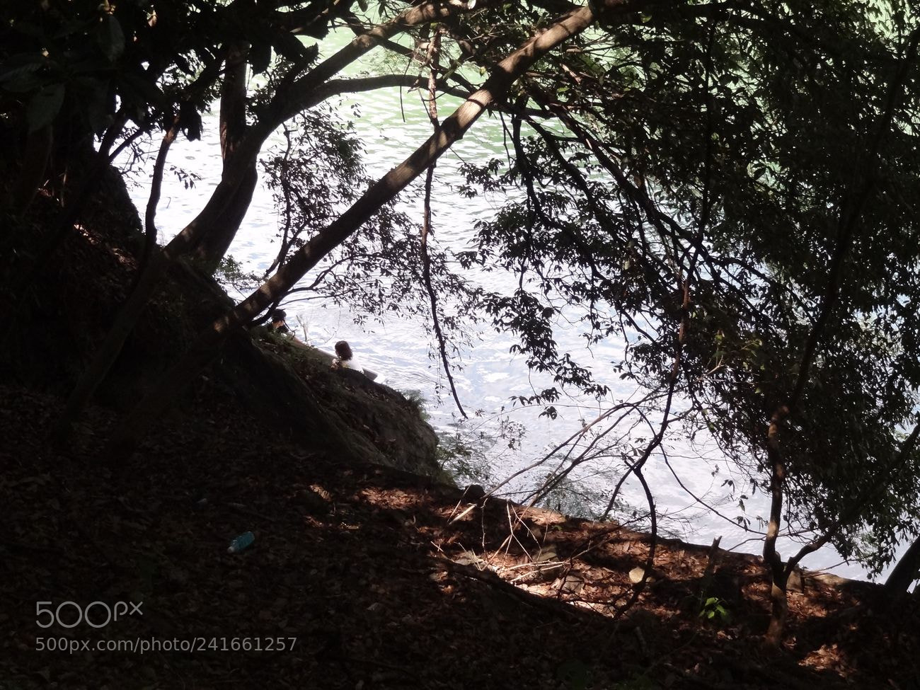 Sony Cyber-shot DSC-HX9V sample photo. Dsc photography