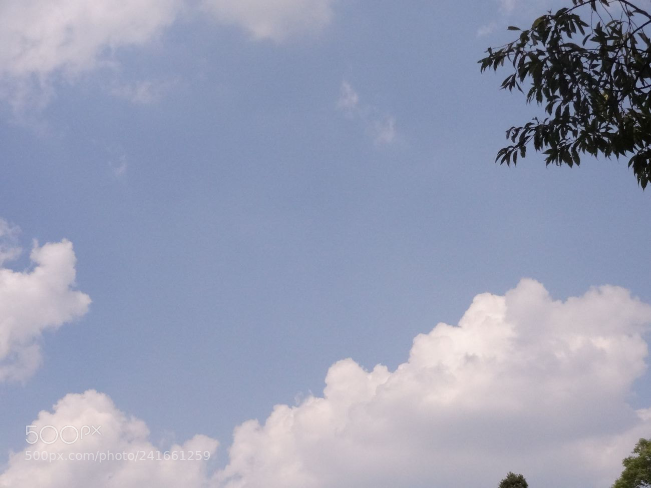 Sony Cyber-shot DSC-HX9V sample photo. Dsc photography