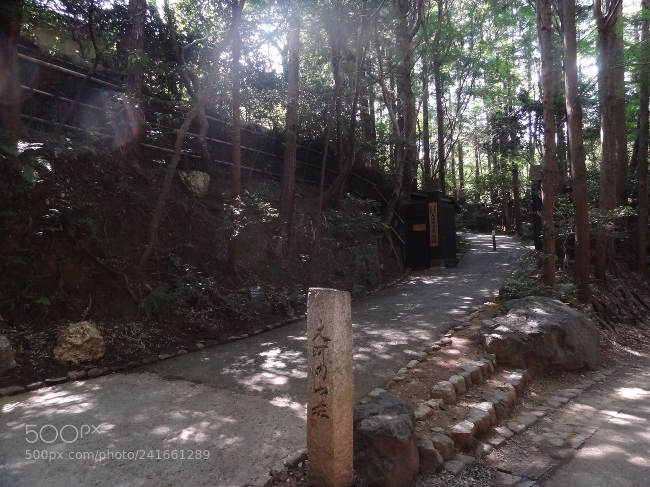 Sony Cyber-shot DSC-HX9V sample photo. Dsc photography