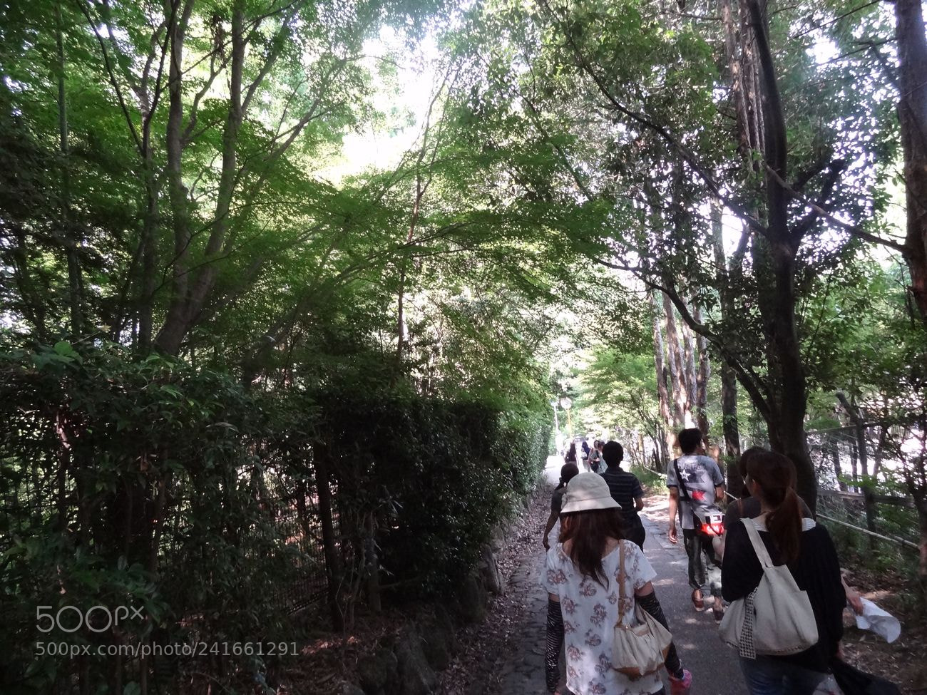 Sony Cyber-shot DSC-HX9V sample photo. Dsc photography