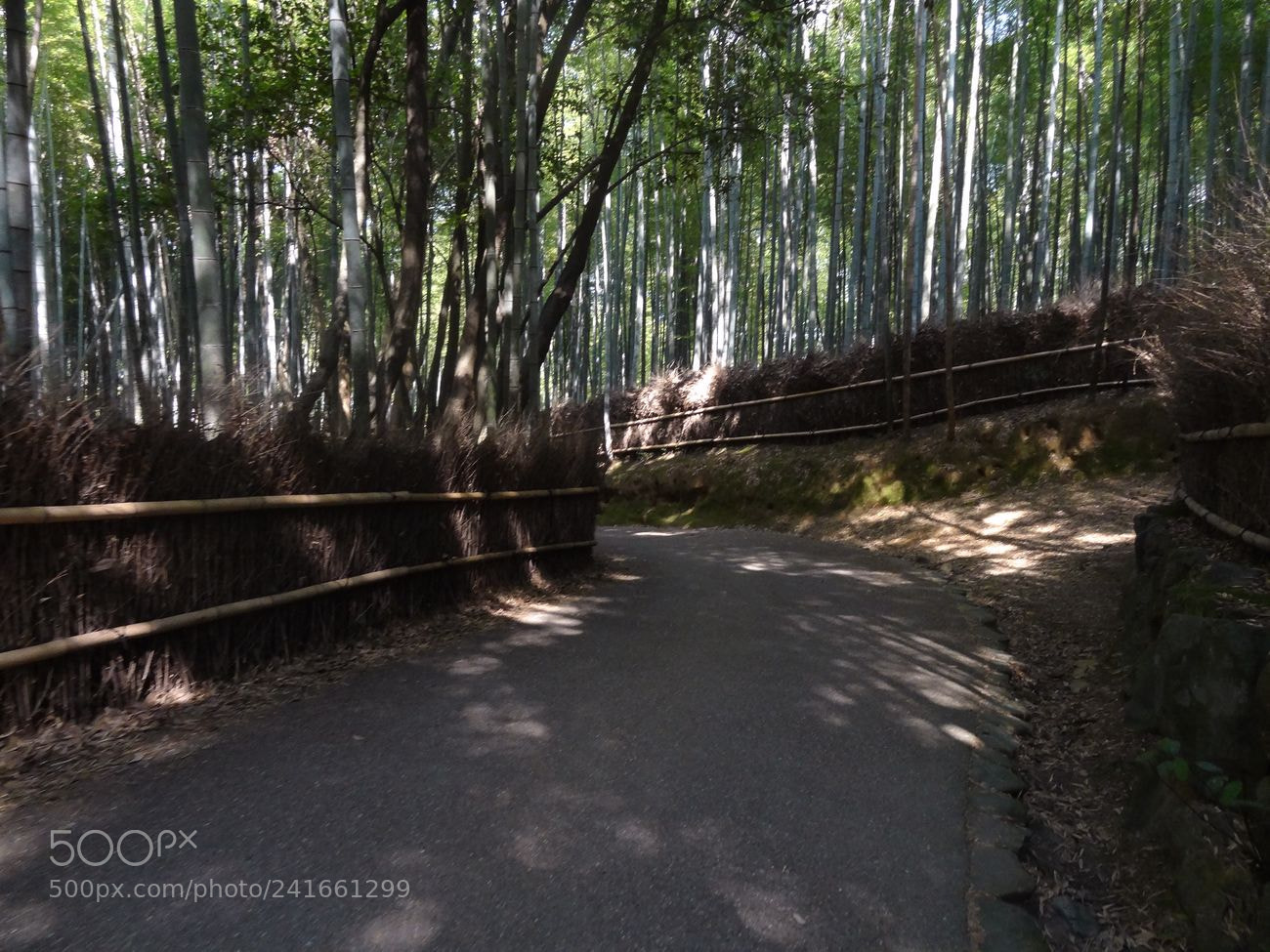 Sony Cyber-shot DSC-HX9V sample photo. Dsc photography