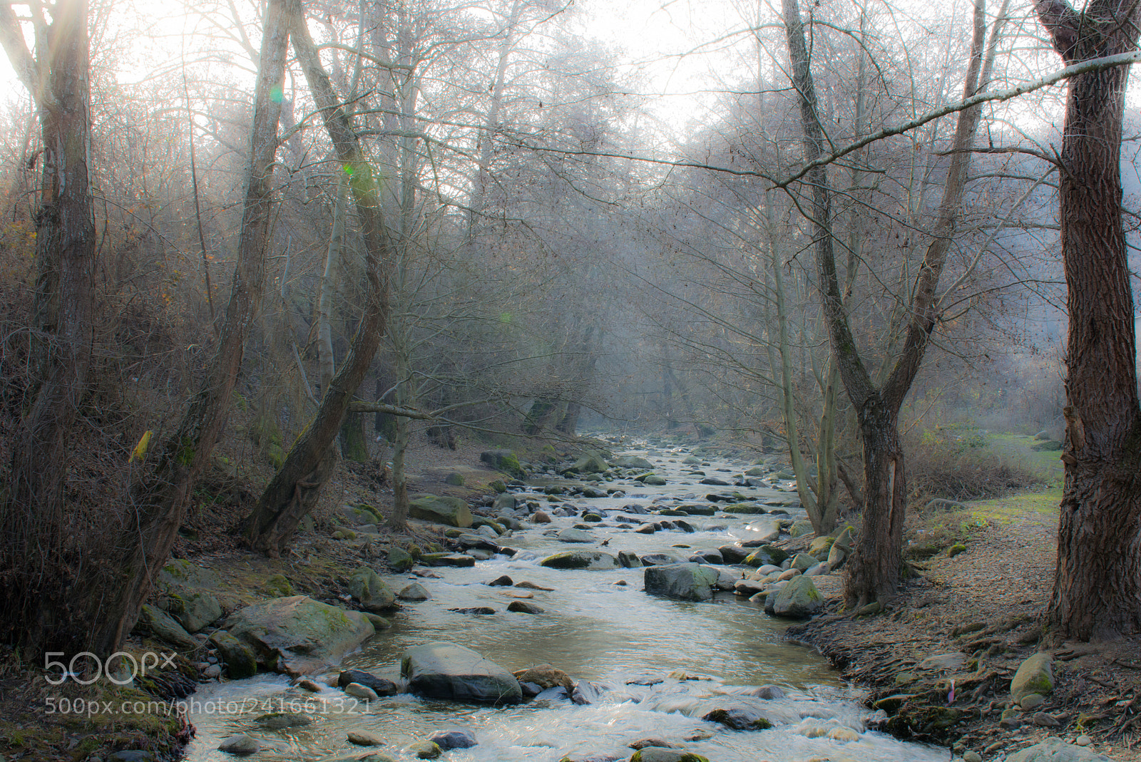Nikon D5200 sample photo. Mystic river photography