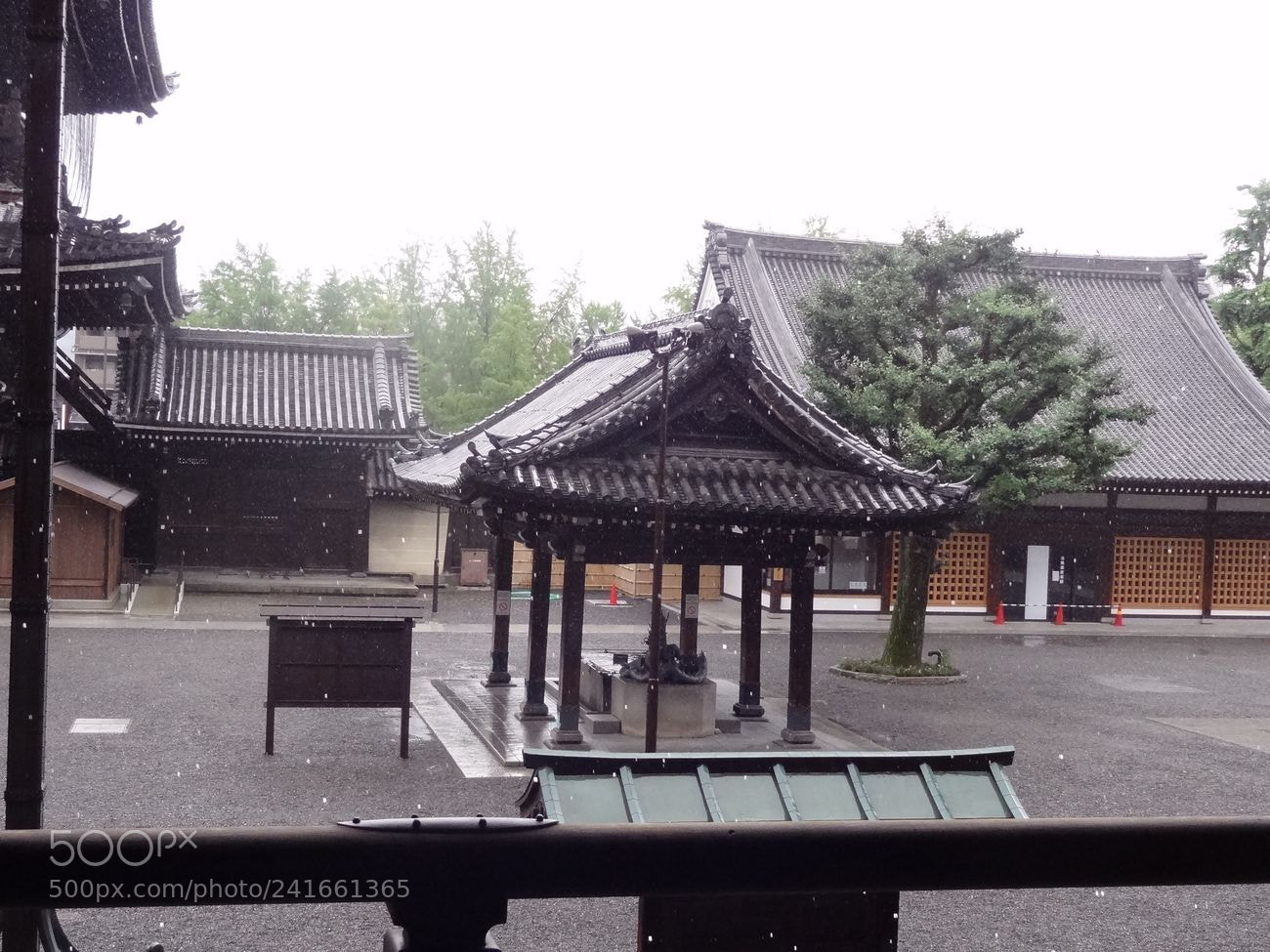 Sony Cyber-shot DSC-HX9V sample photo. Dsc photography