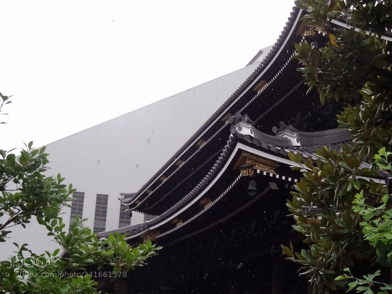 Sony Cyber-shot DSC-HX9V sample photo. Dsc photography