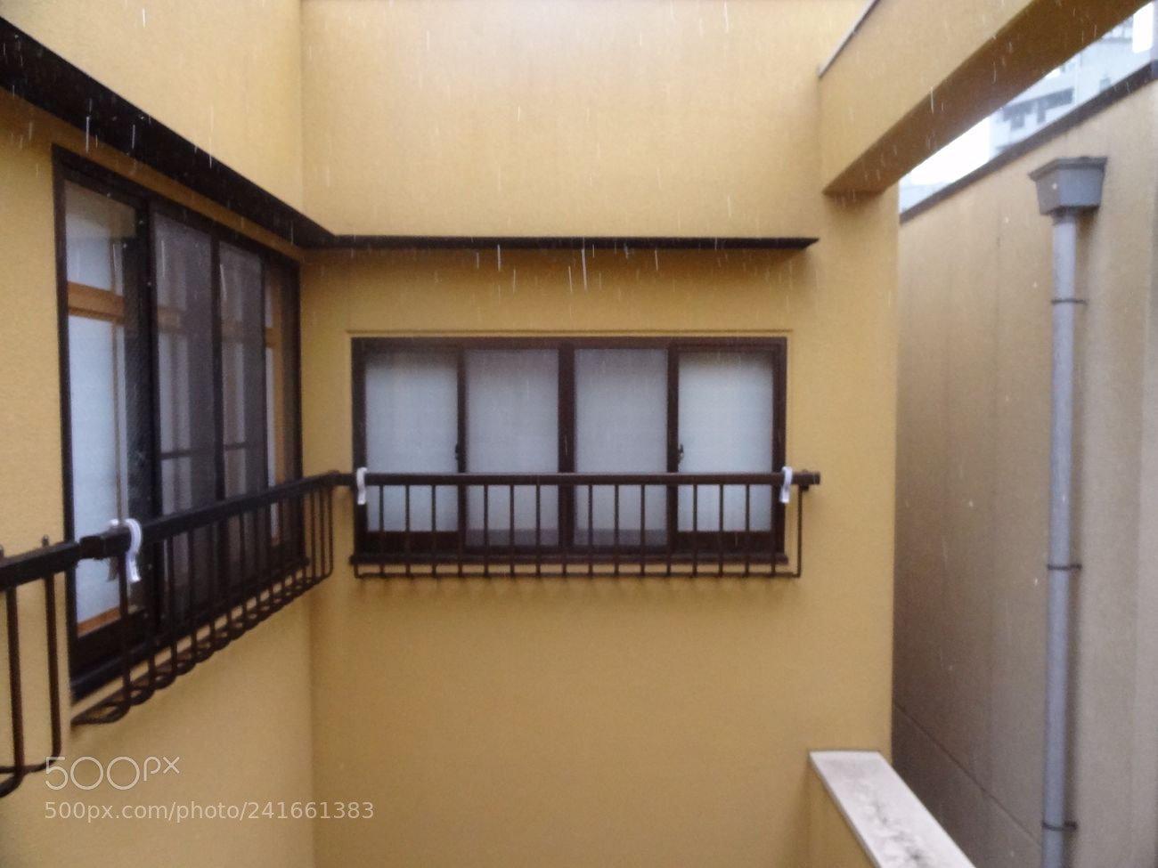 Sony Cyber-shot DSC-HX9V sample photo. Dsc photography