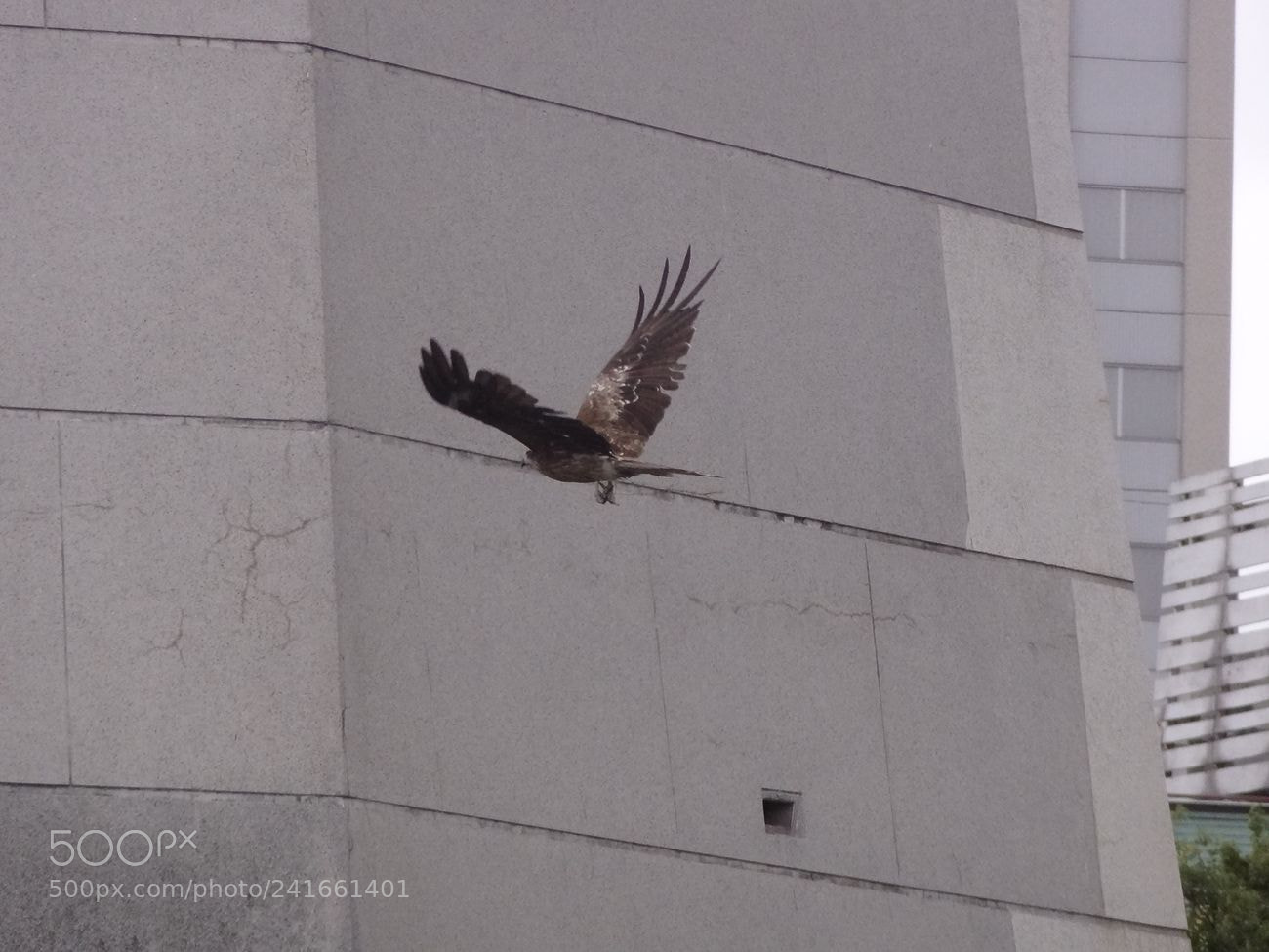 Sony Cyber-shot DSC-HX9V sample photo. Dsc photography