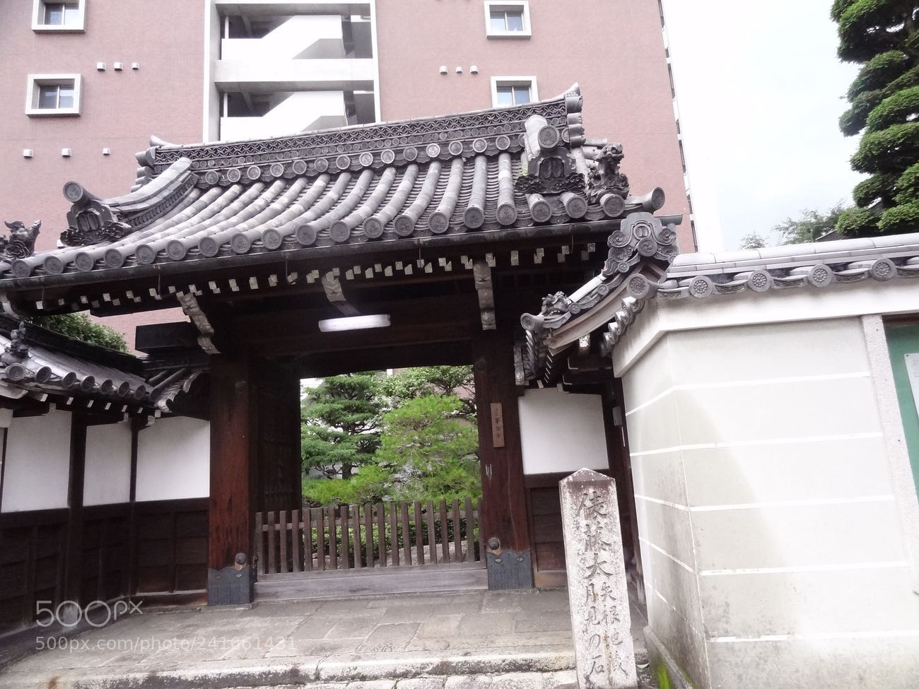 Sony Cyber-shot DSC-HX9V sample photo. Dsc photography