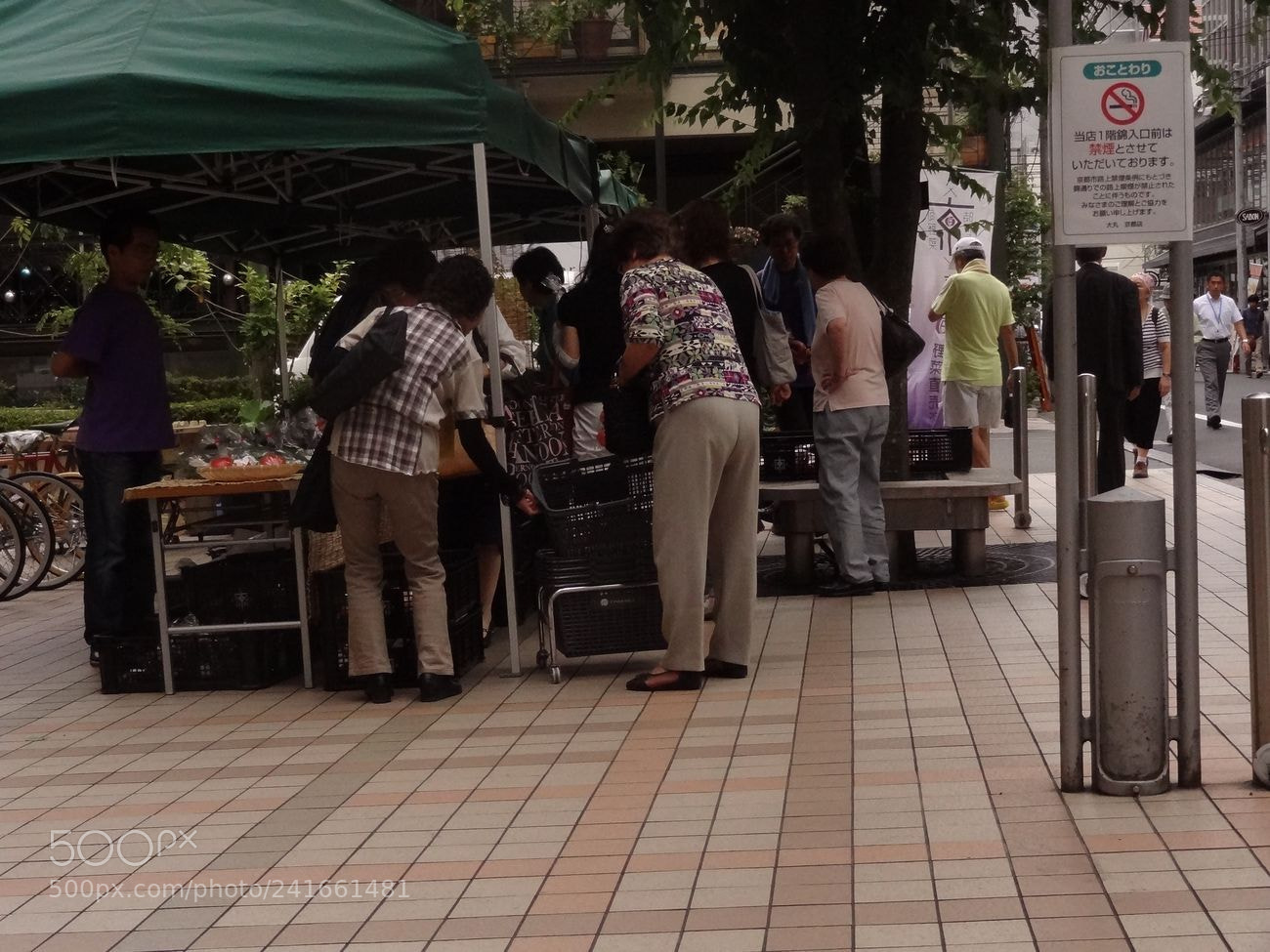 Sony Cyber-shot DSC-HX9V sample photo. Dsc photography