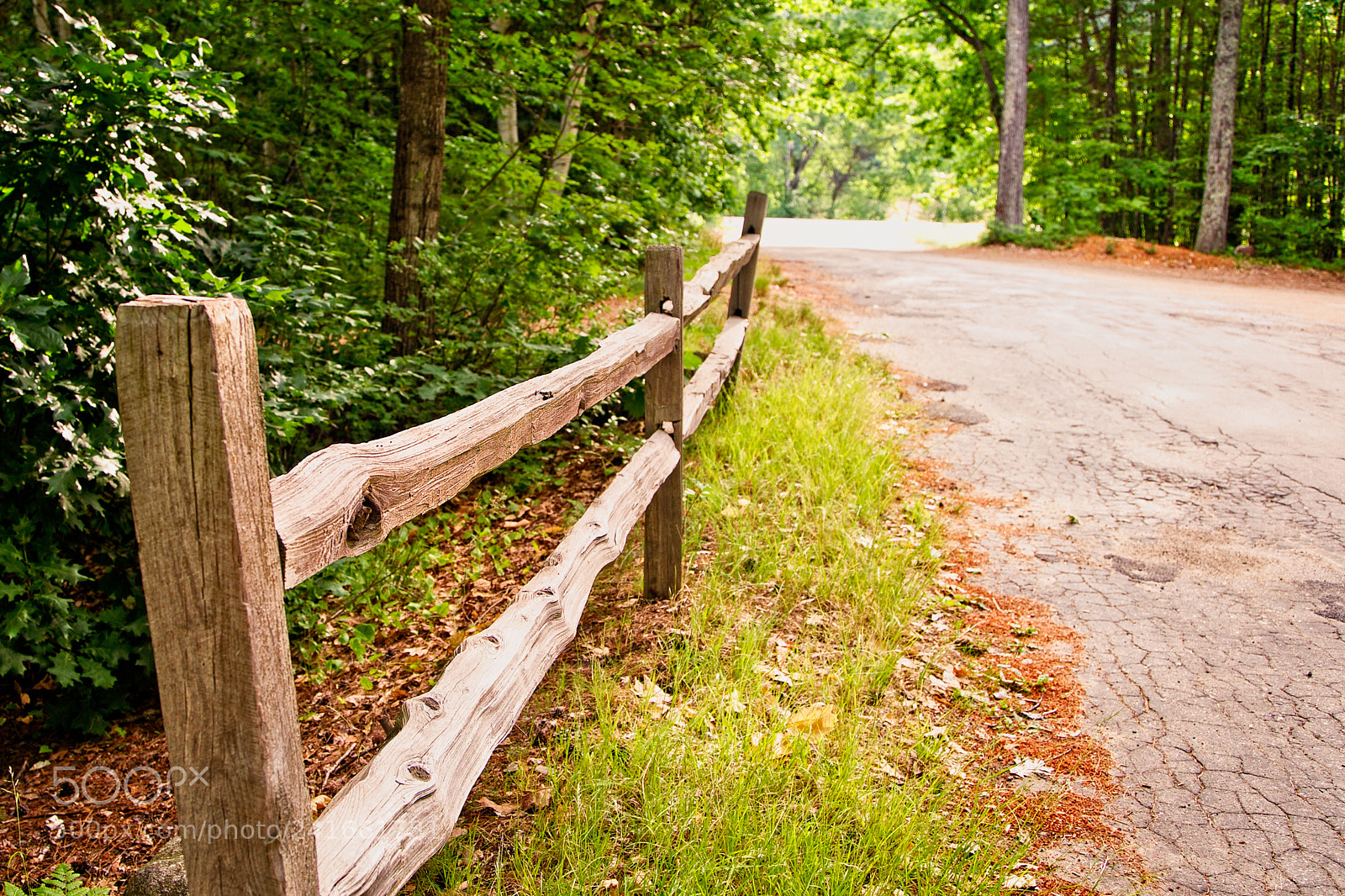 Canon EOS-1D X sample photo. Chocurua fence photography