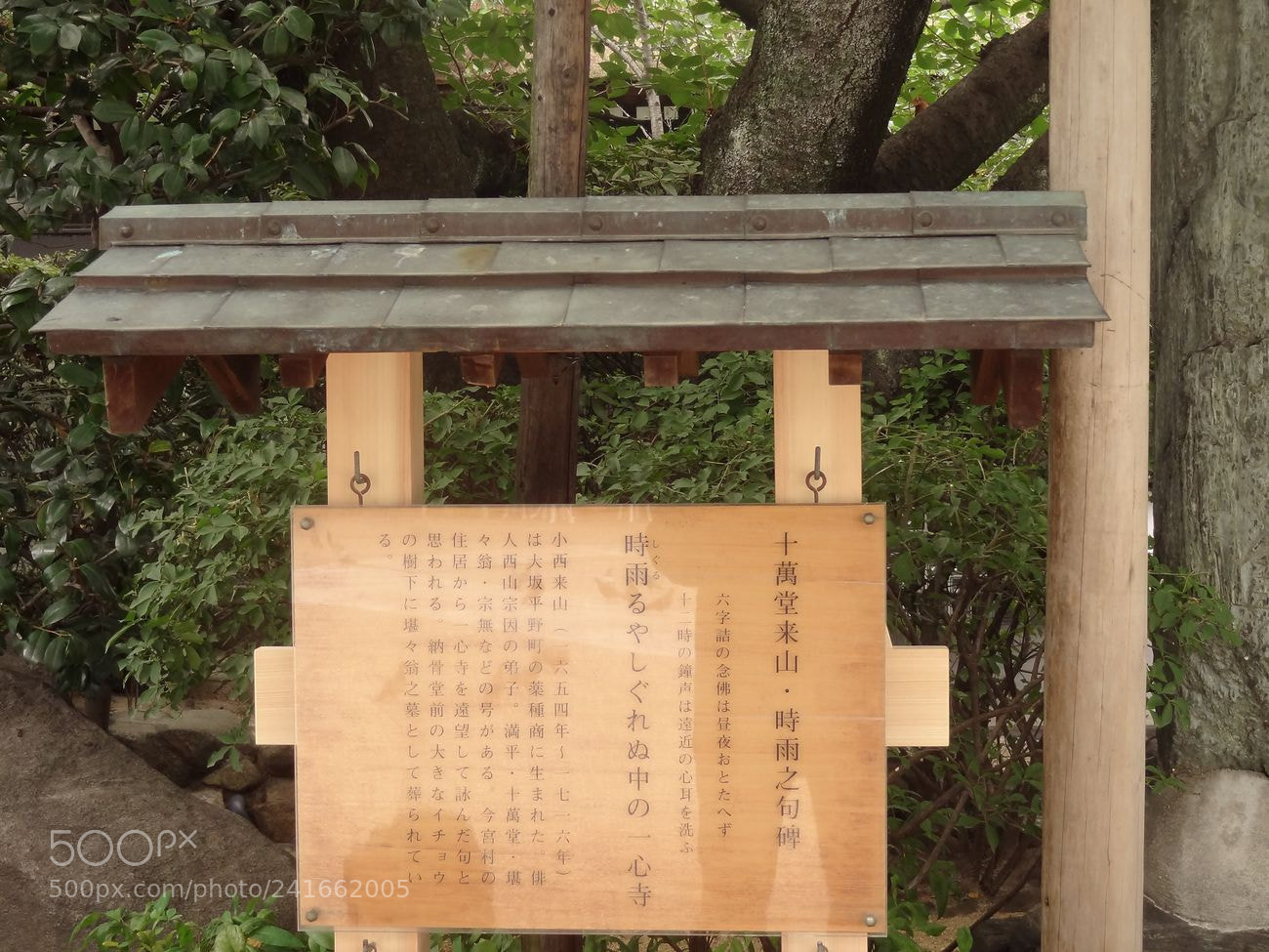 Sony Cyber-shot DSC-HX9V sample photo. Dsc photography