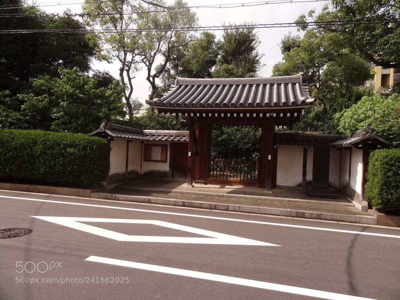 Sony Cyber-shot DSC-HX9V sample photo. Dsc photography