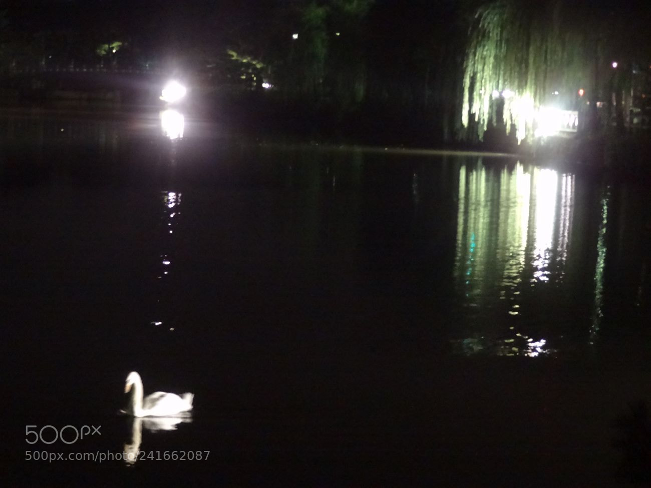 Sony Cyber-shot DSC-HX9V sample photo. Dsc photography