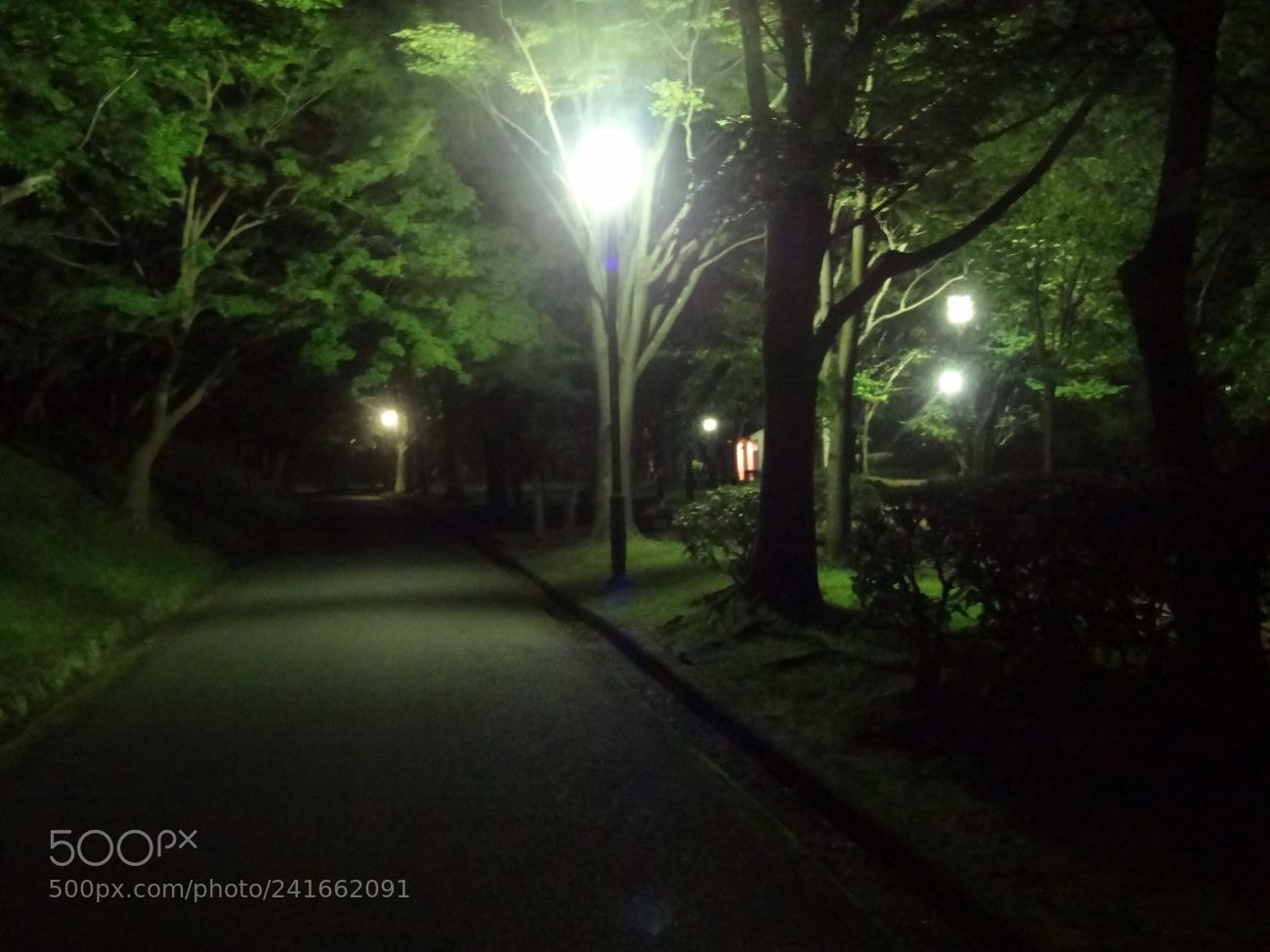 Sony Cyber-shot DSC-HX9V sample photo. Dsc photography