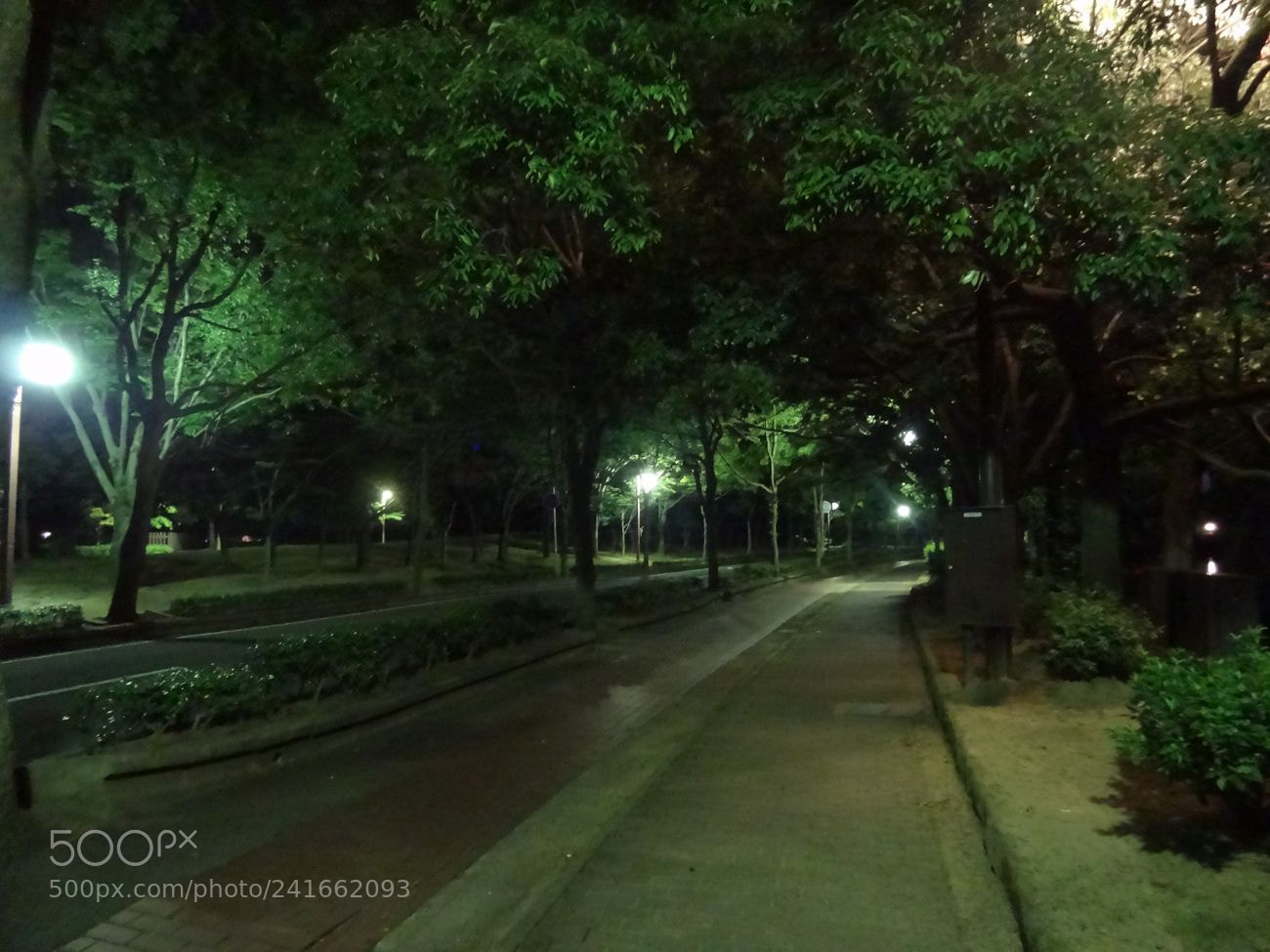 Sony Cyber-shot DSC-HX9V sample photo. Dsc photography